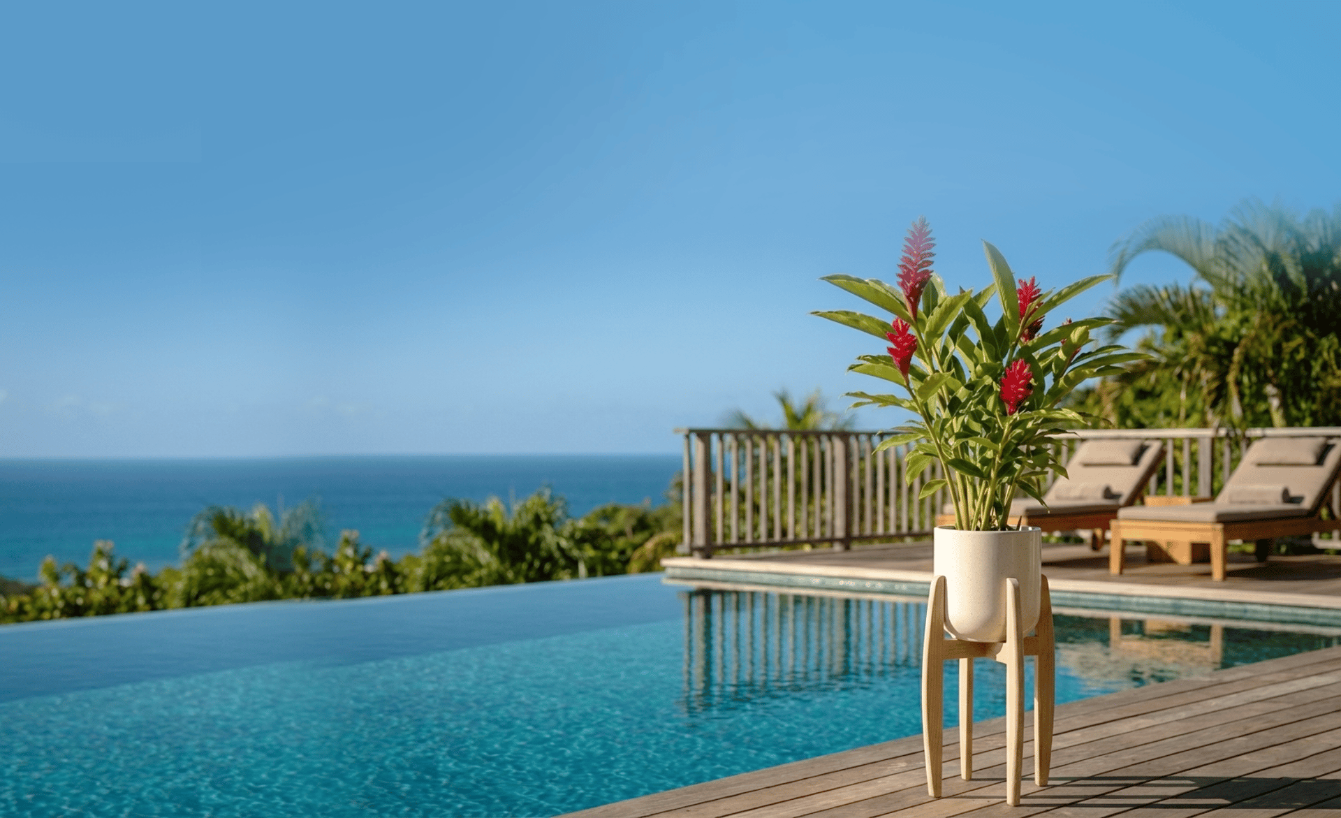 woman holding dried flower