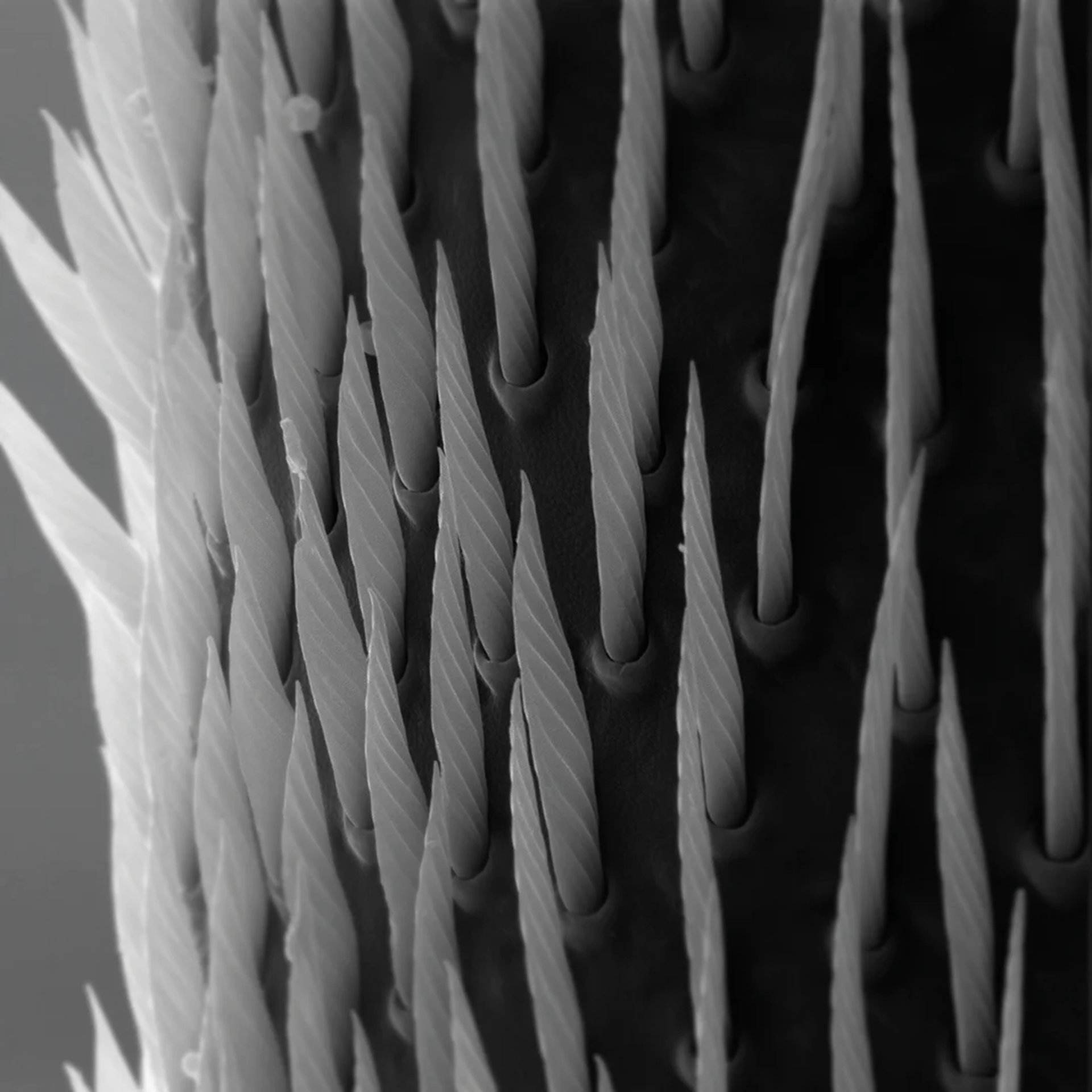 an abstract photo of a curved building with a blue sky in the background