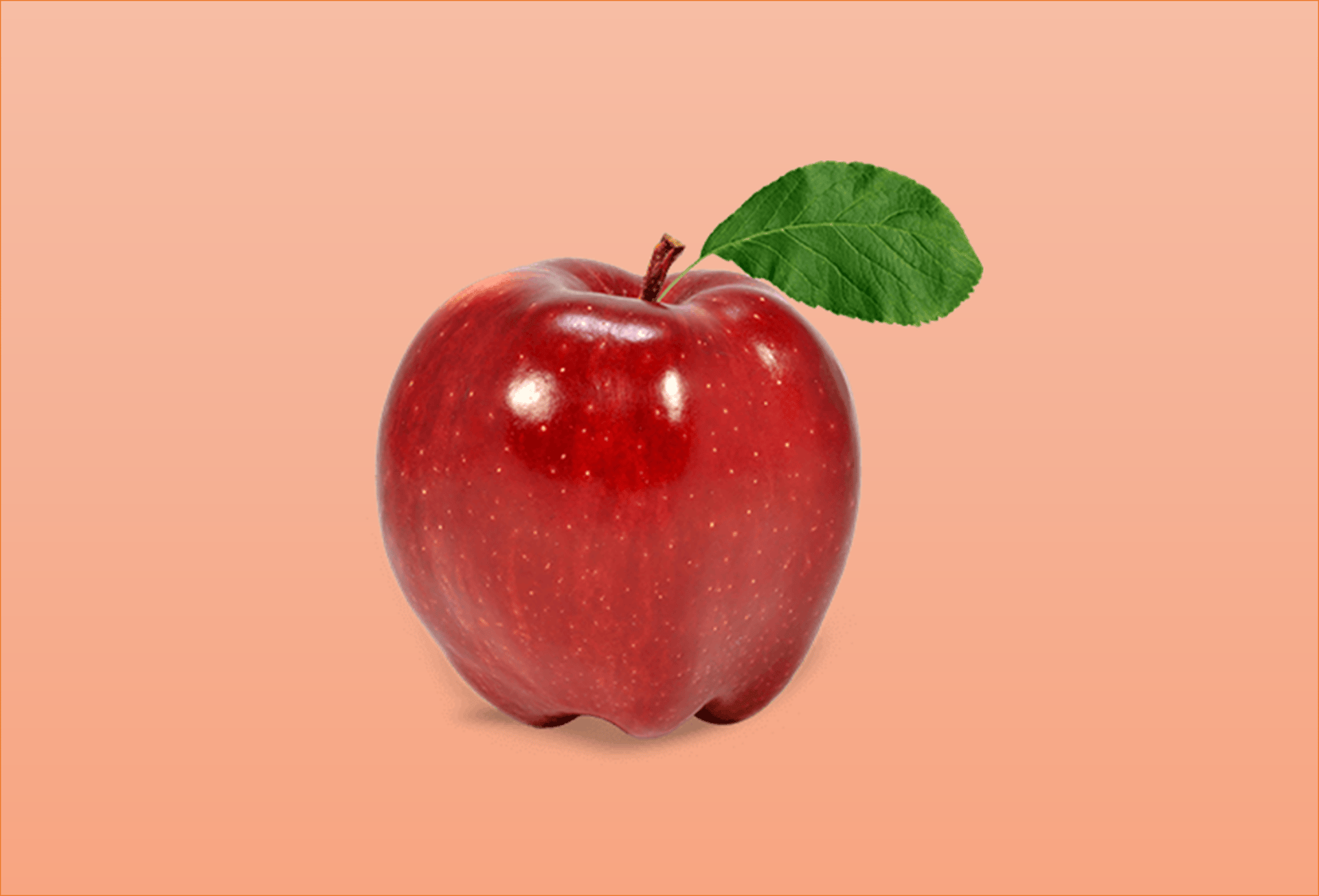 black and brown leather padded tub sofa