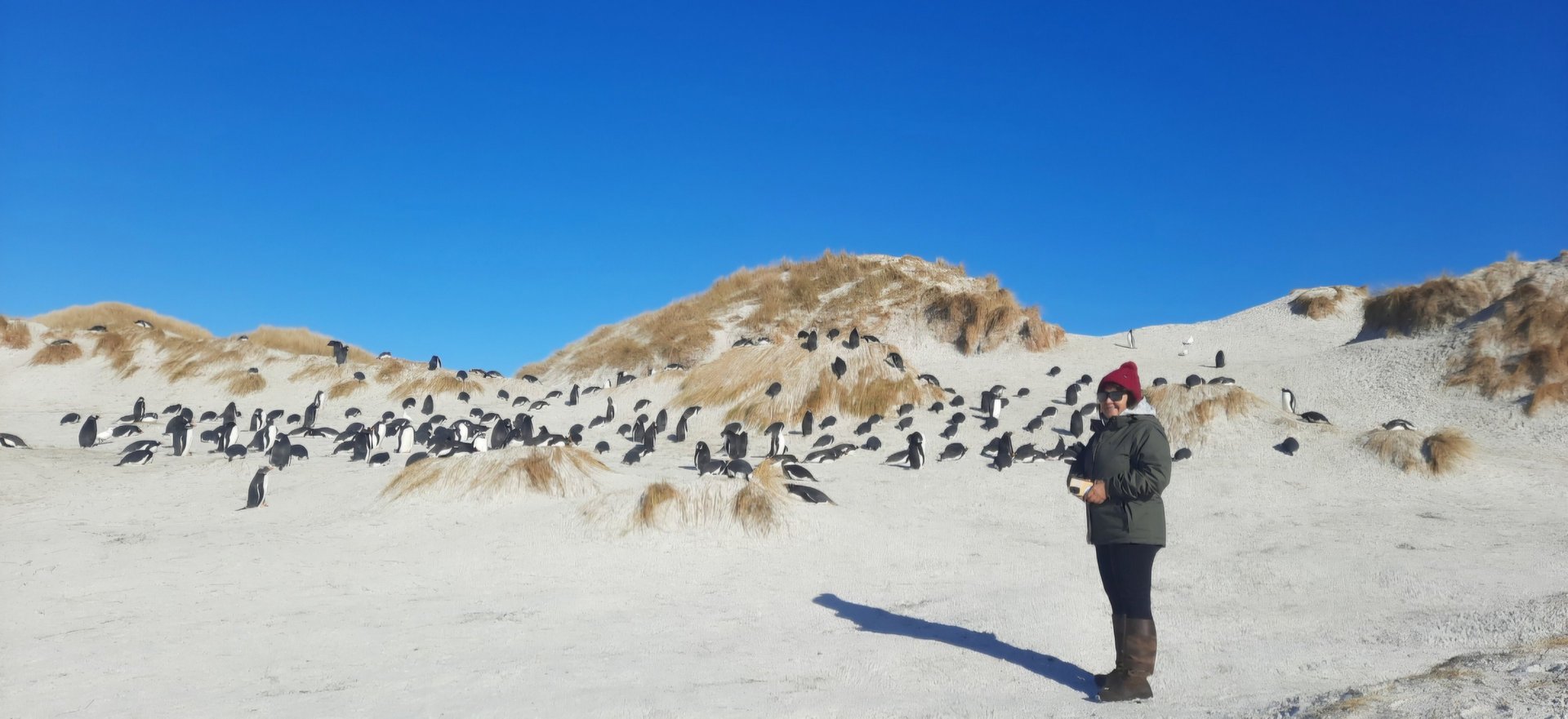 gray computer monitor