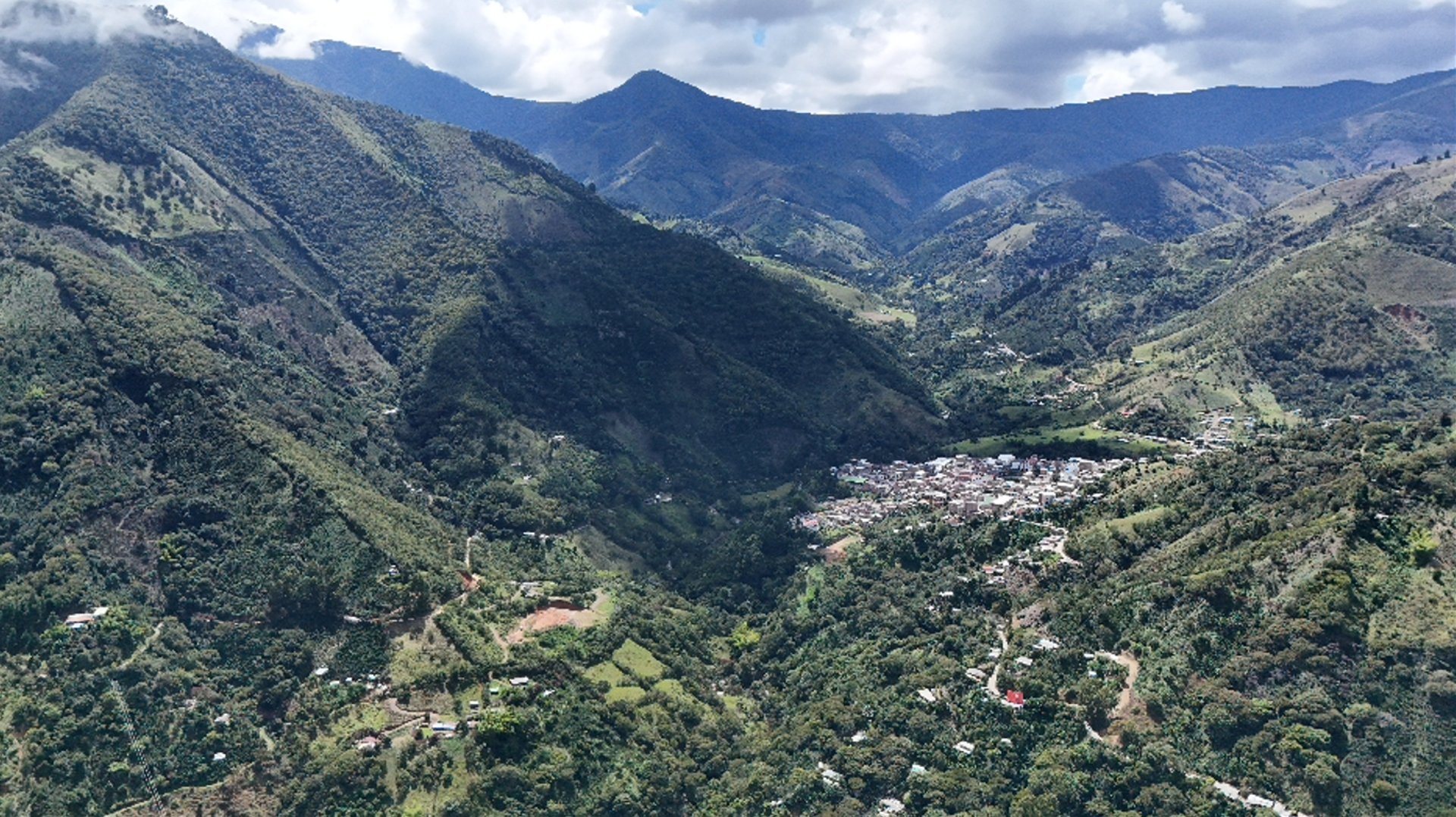 black and brown leather padded tub sofa