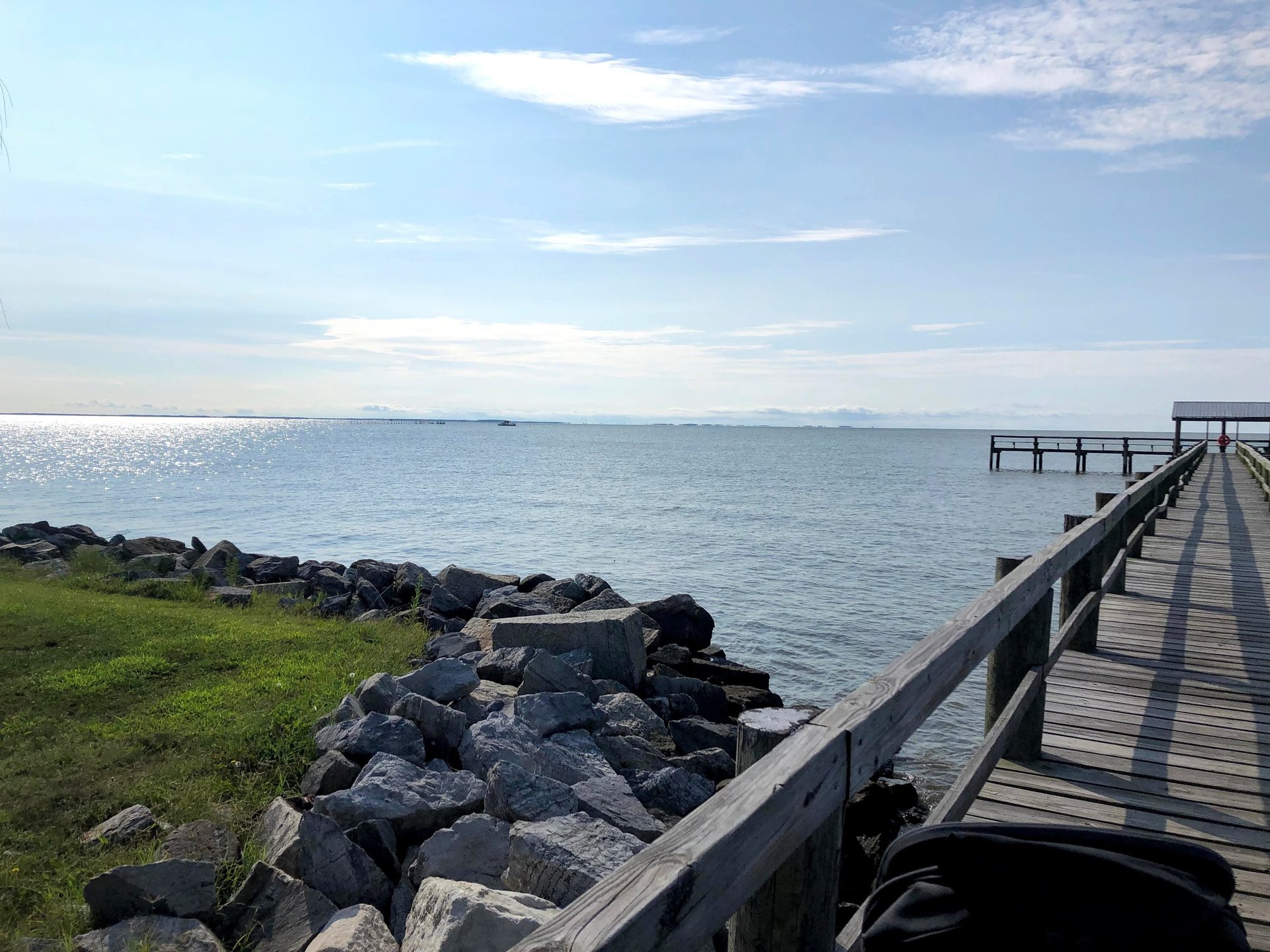 brown short coated dog on brown rock formation during daytime