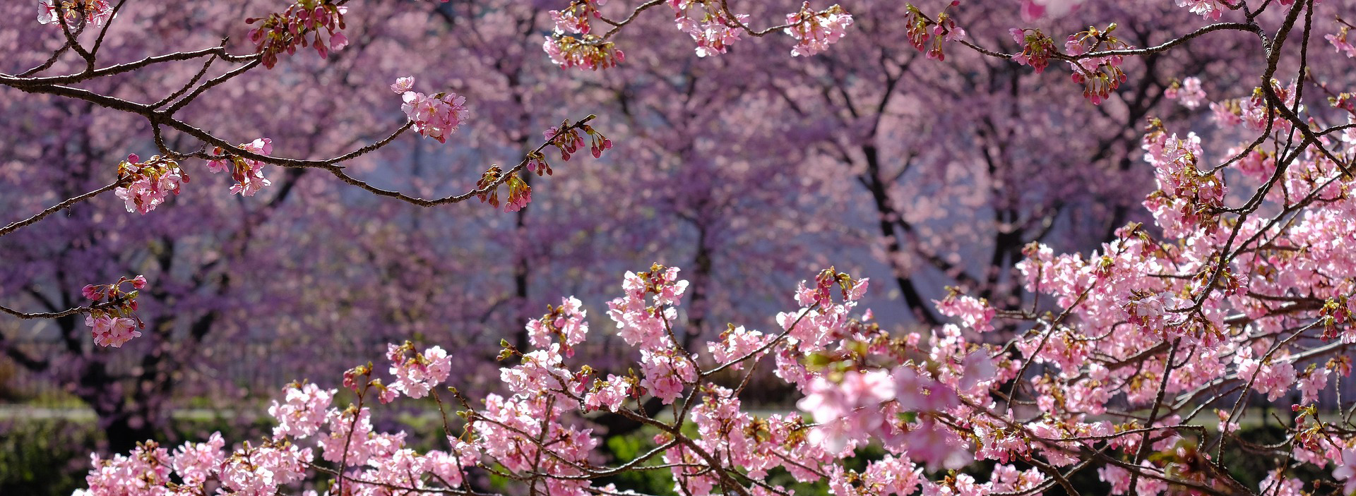 an abstract photo of a curved building with a blue sky in the background