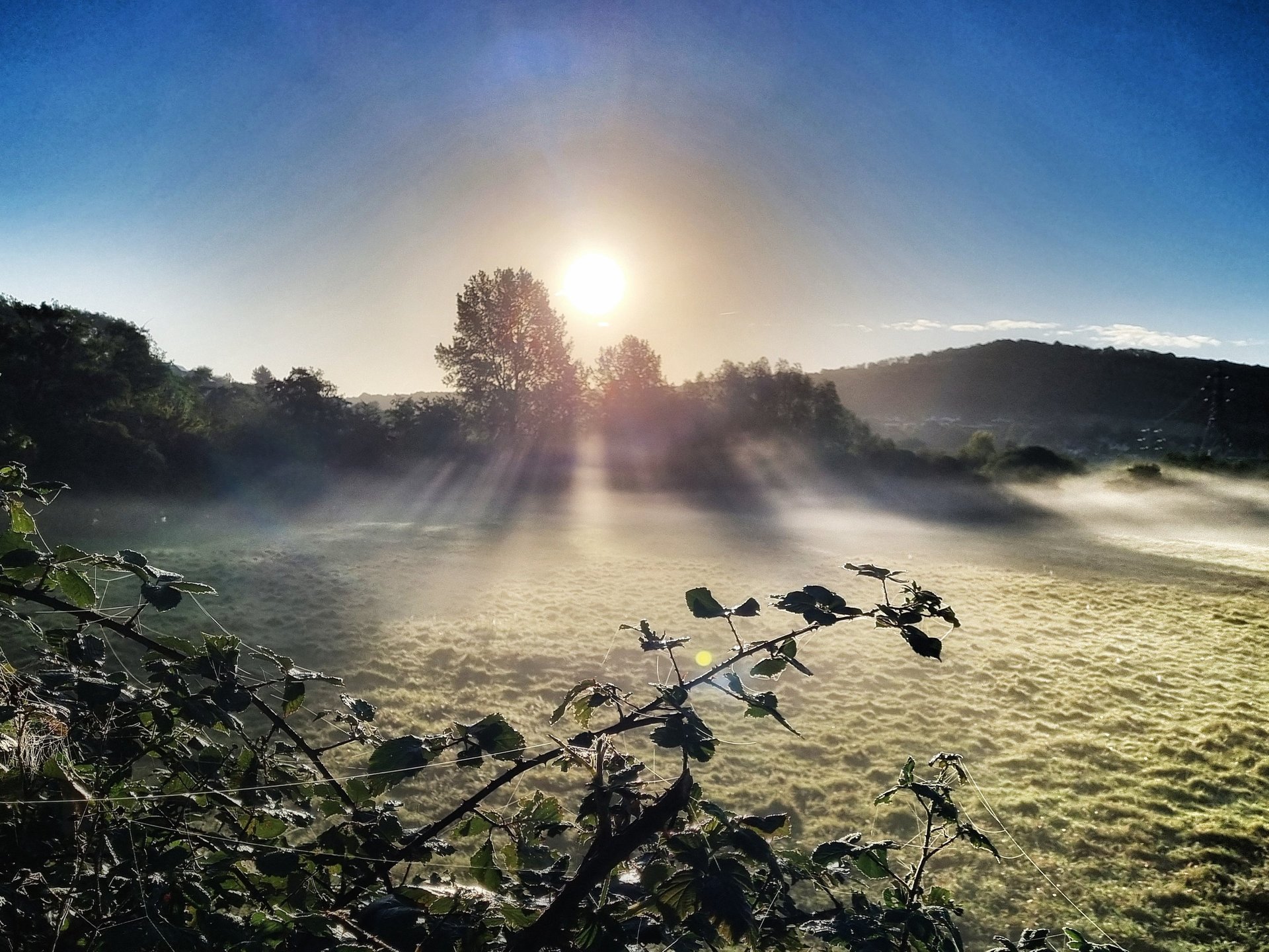 black blue and yellow textile