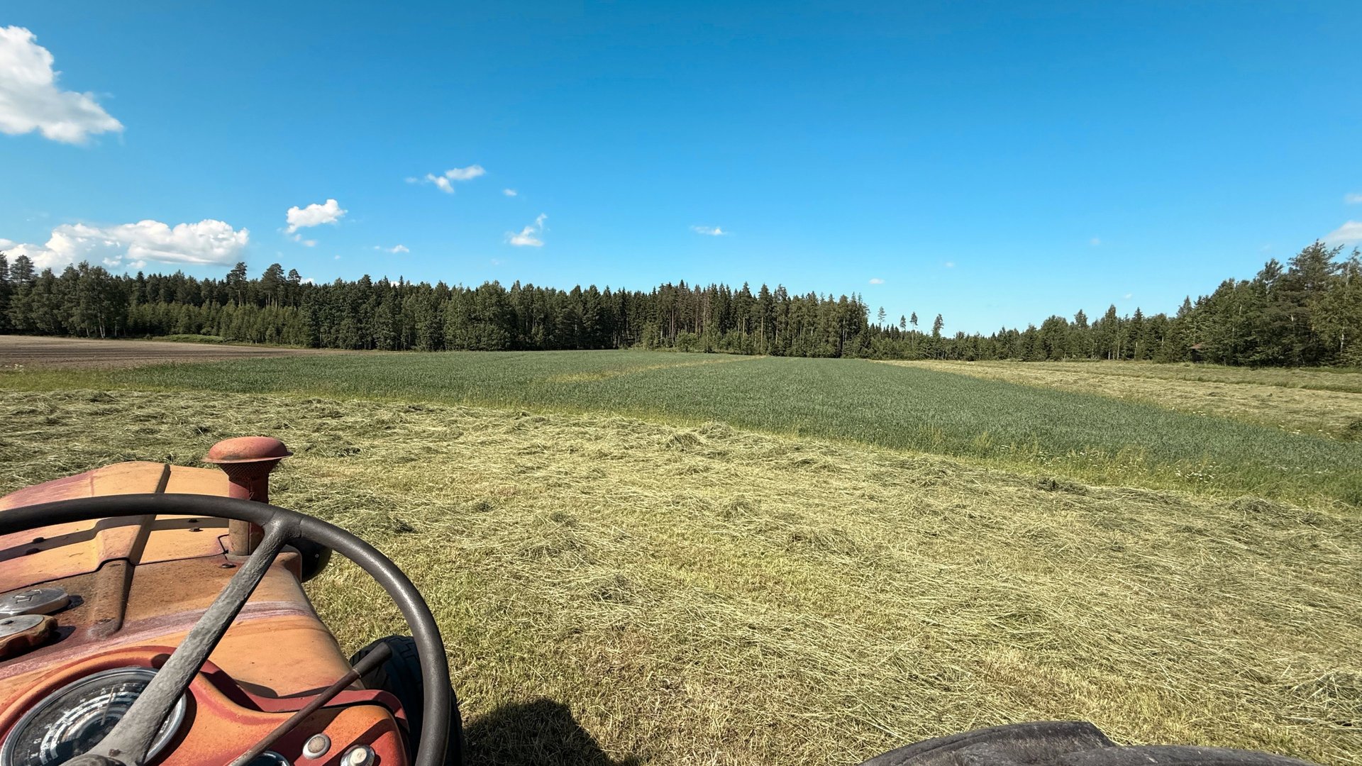 landscape of grass field under blue sky