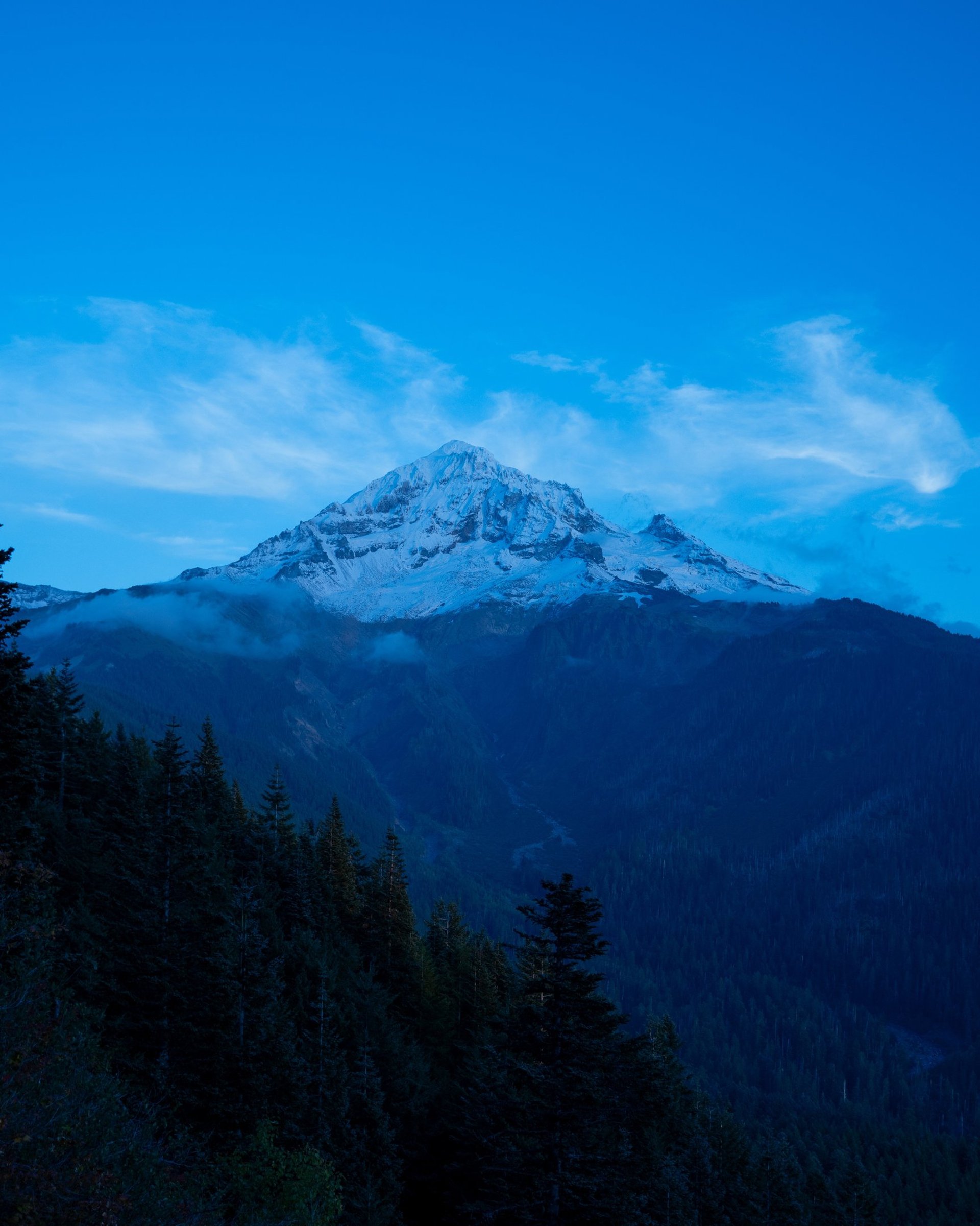 gray computer monitor