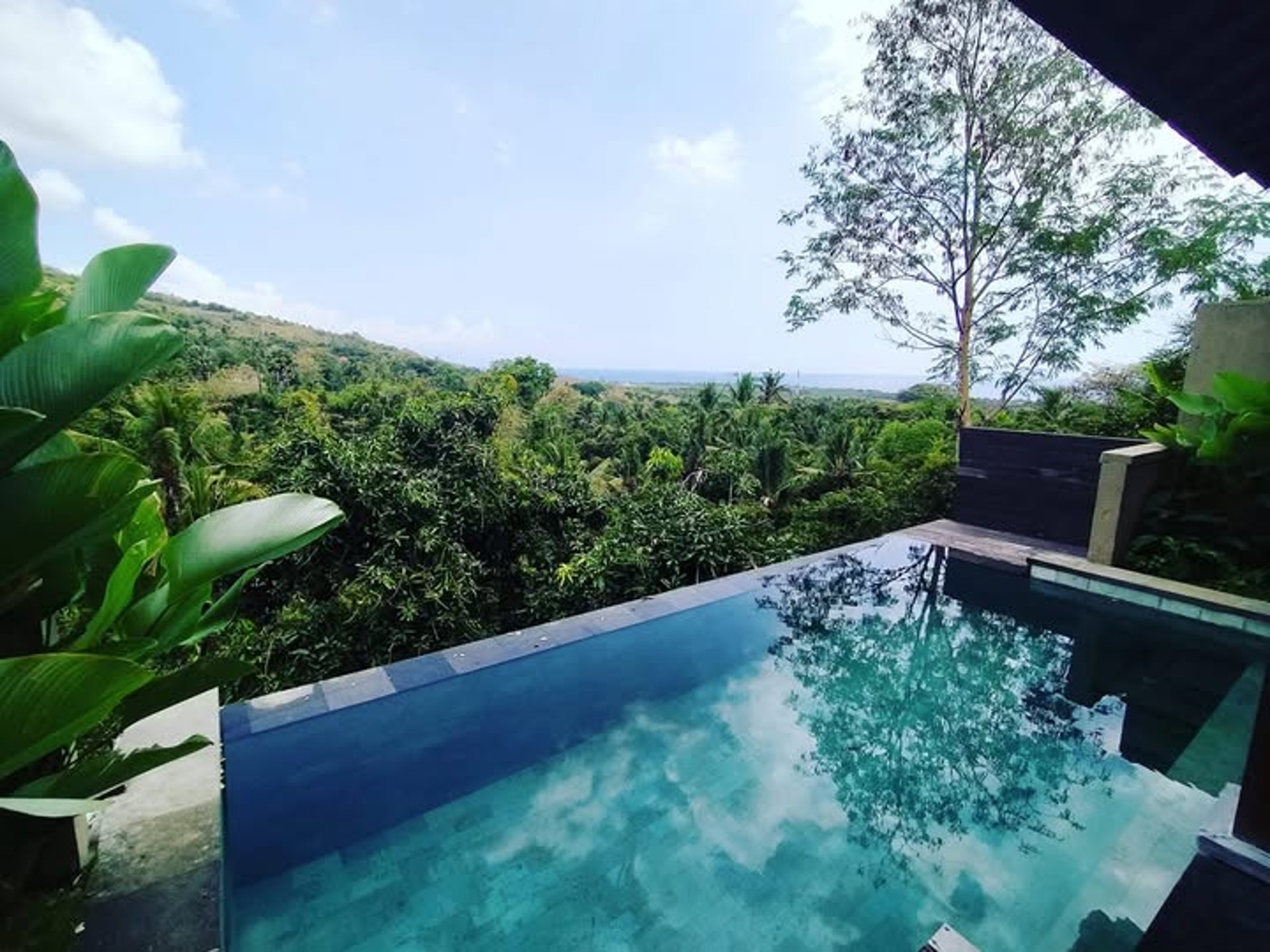 gray computer monitor