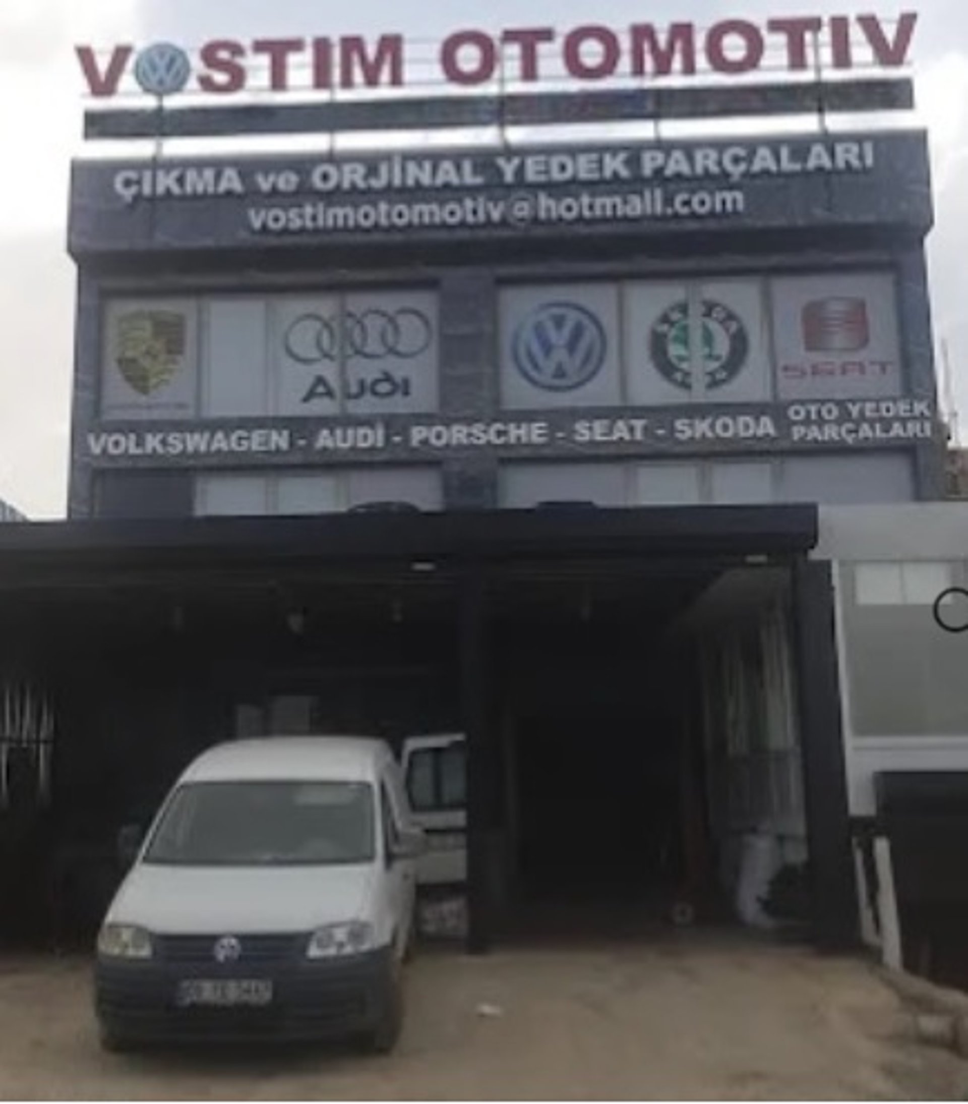 woman holding dried flower