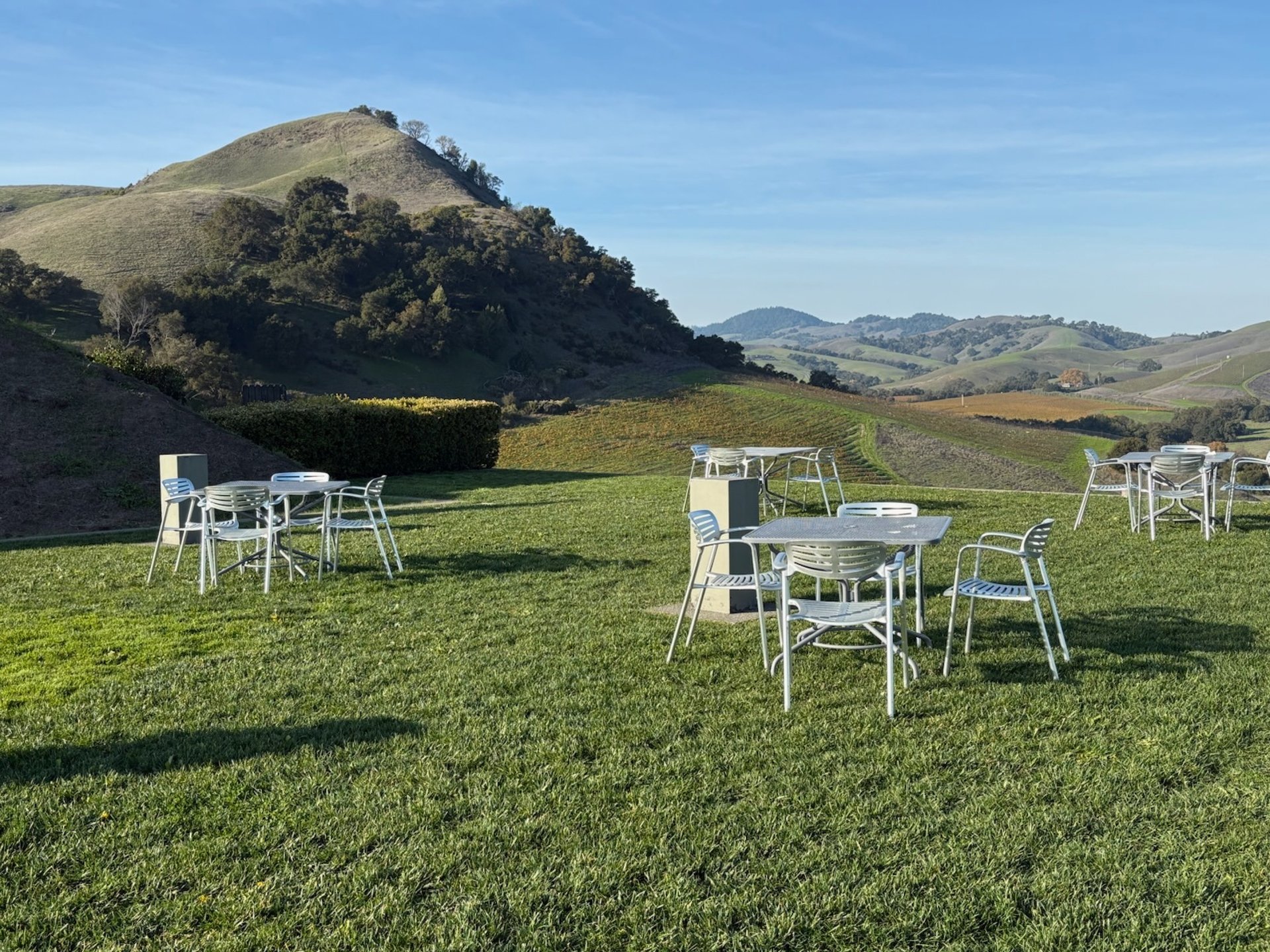 woman wearing yellow long-sleeved dress under white clouds and blue sky during daytime