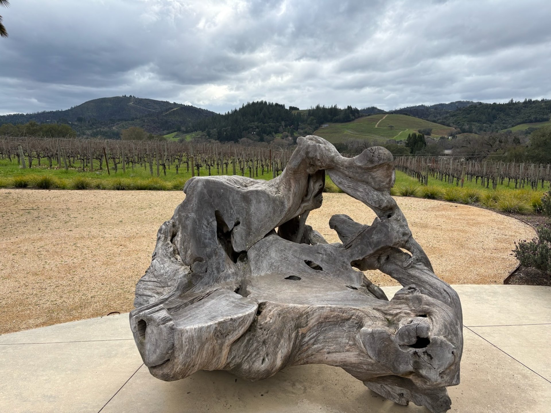 an abstract photo of a curved building with a blue sky in the background