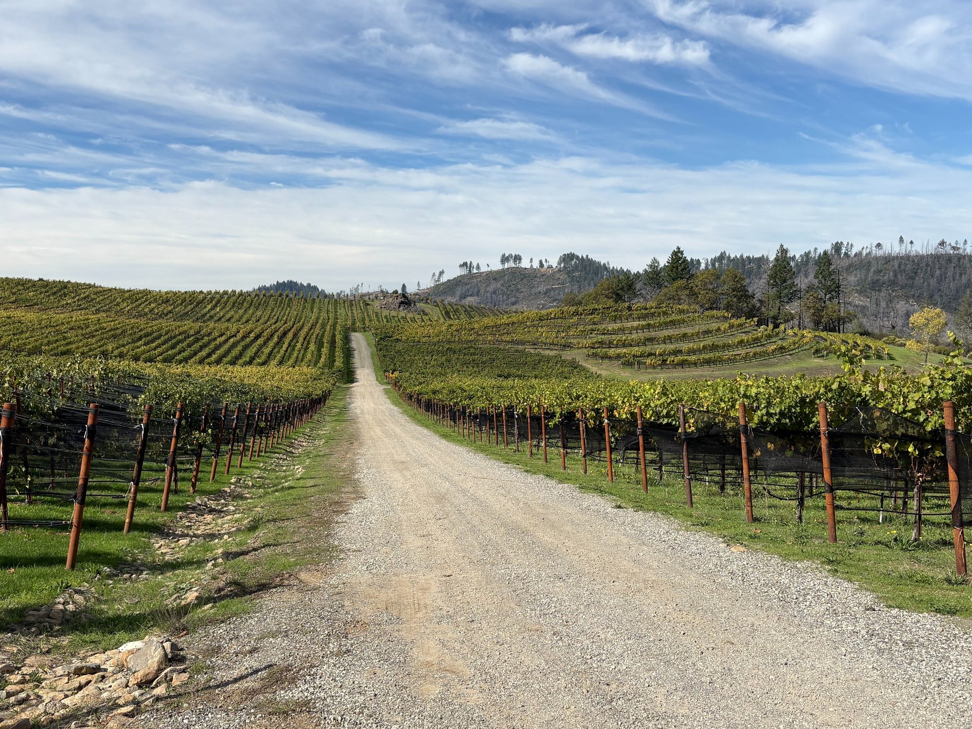 gray computer monitor