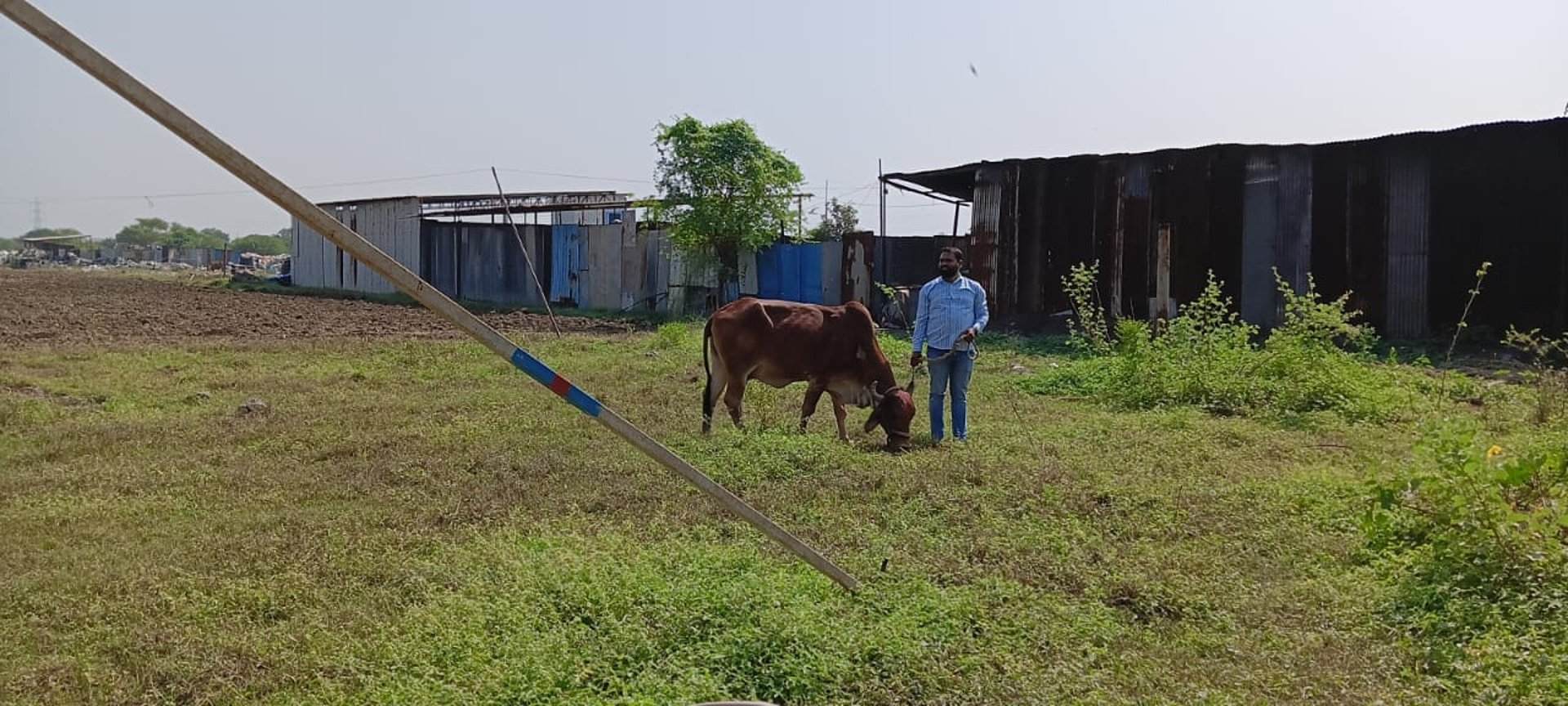 an abstract photo of a curved building with a blue sky in the background