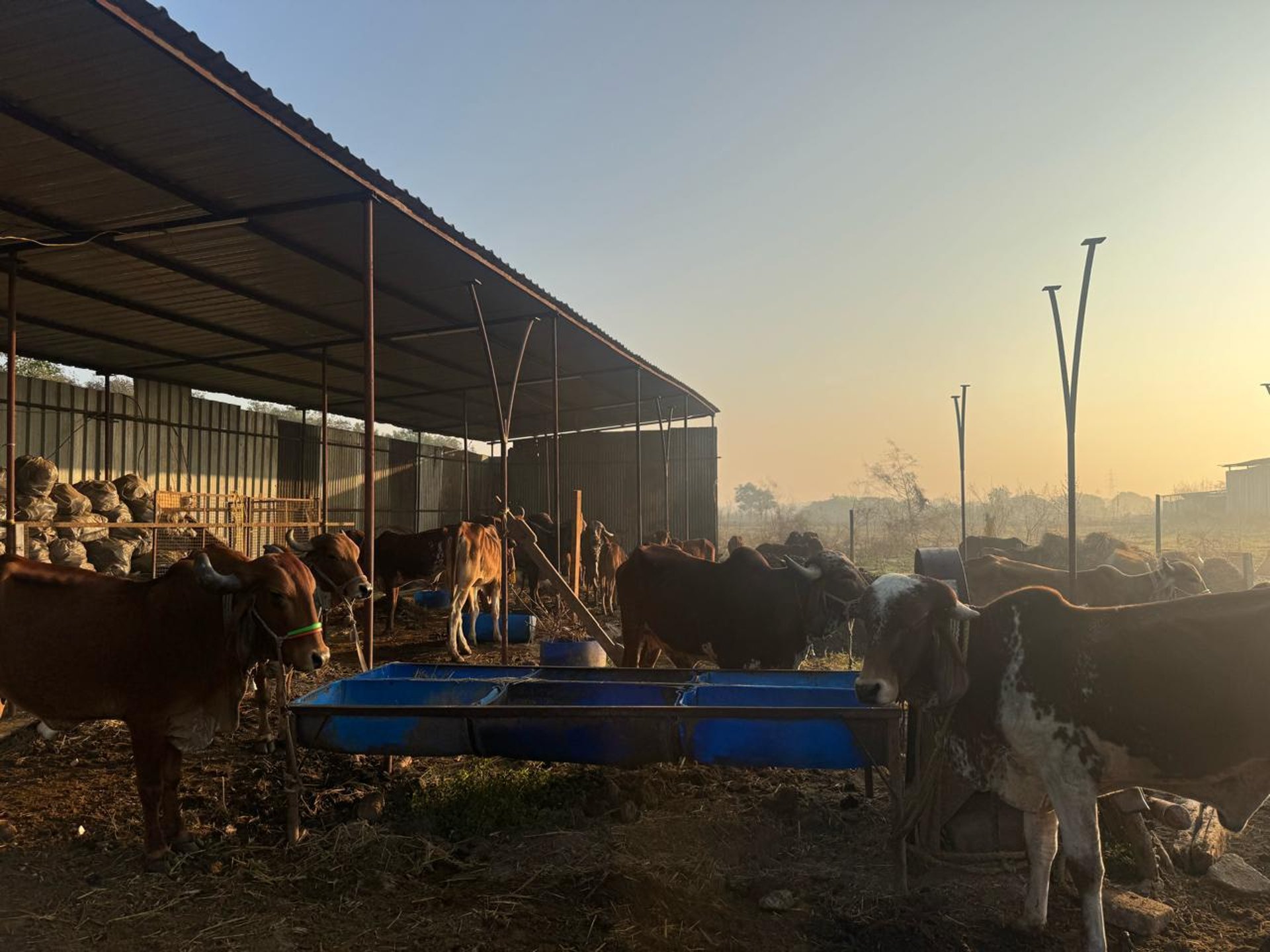 an abstract photo of a curved building with a blue sky in the background