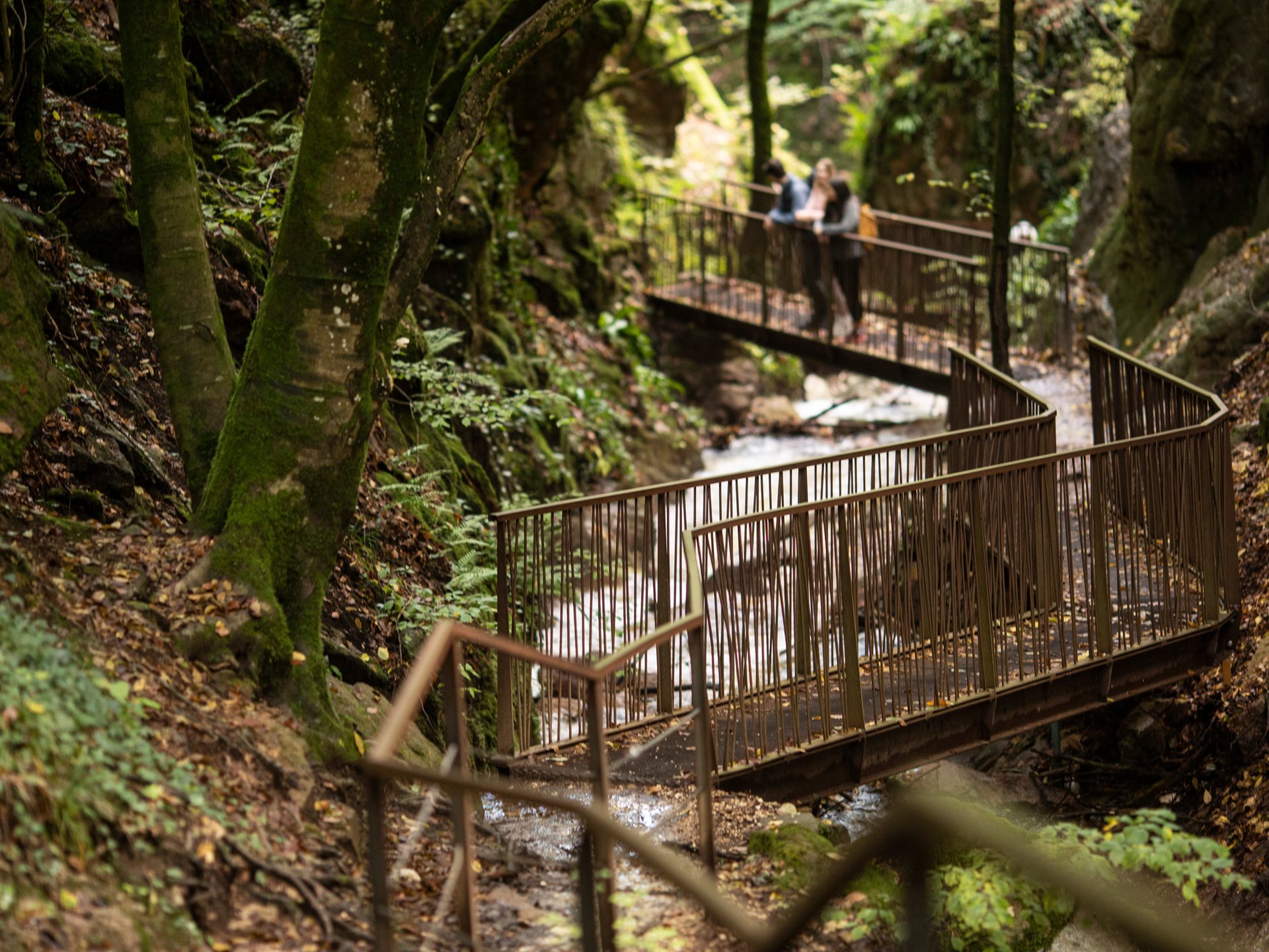 black blue and yellow textile