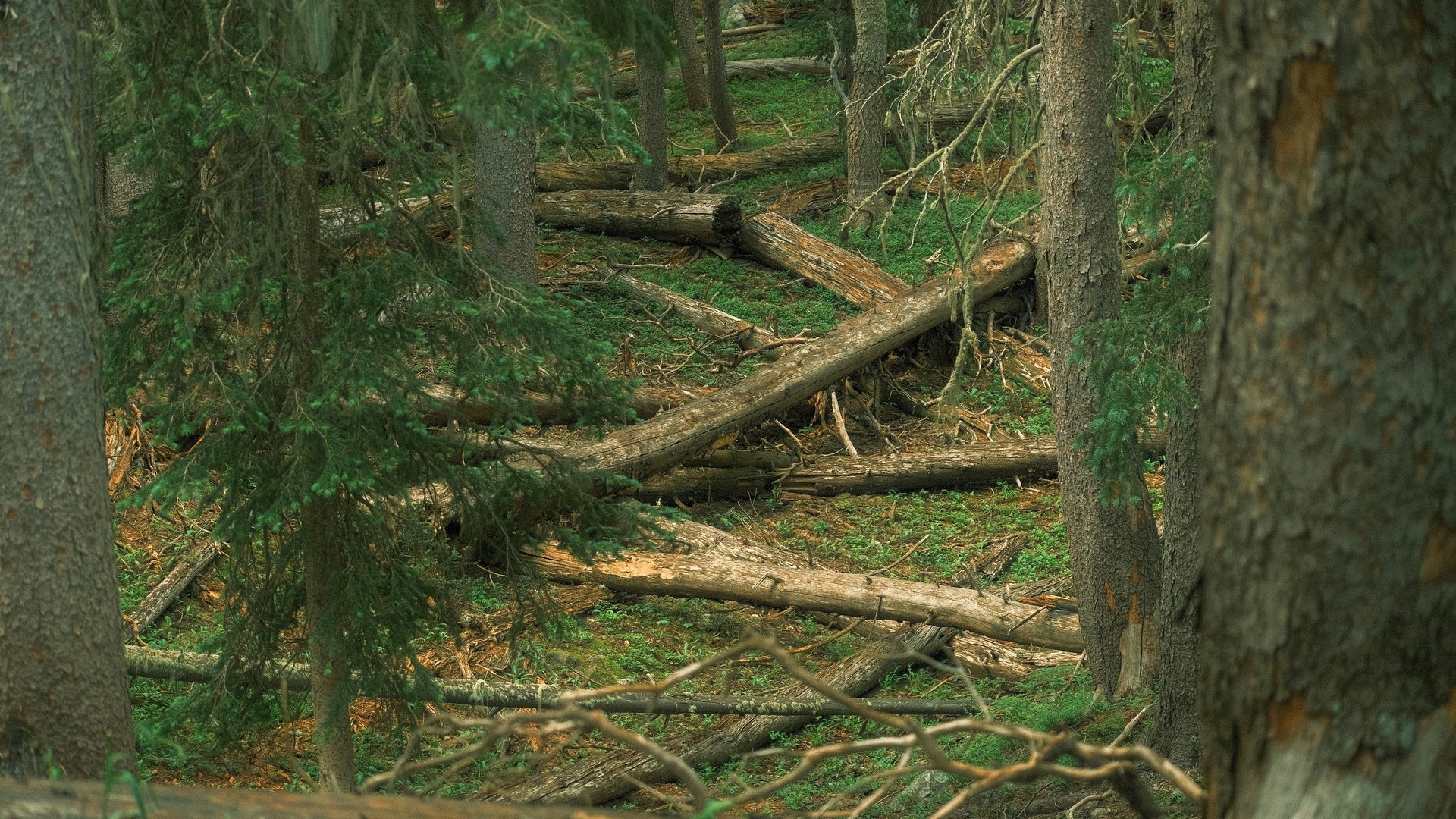 an abstract photo of a curved building with a blue sky in the background