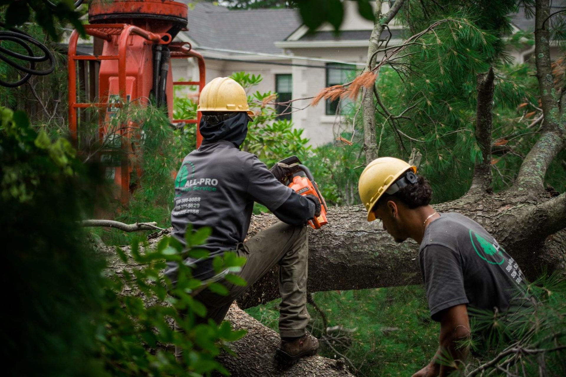 black and brown leather padded tub sofa