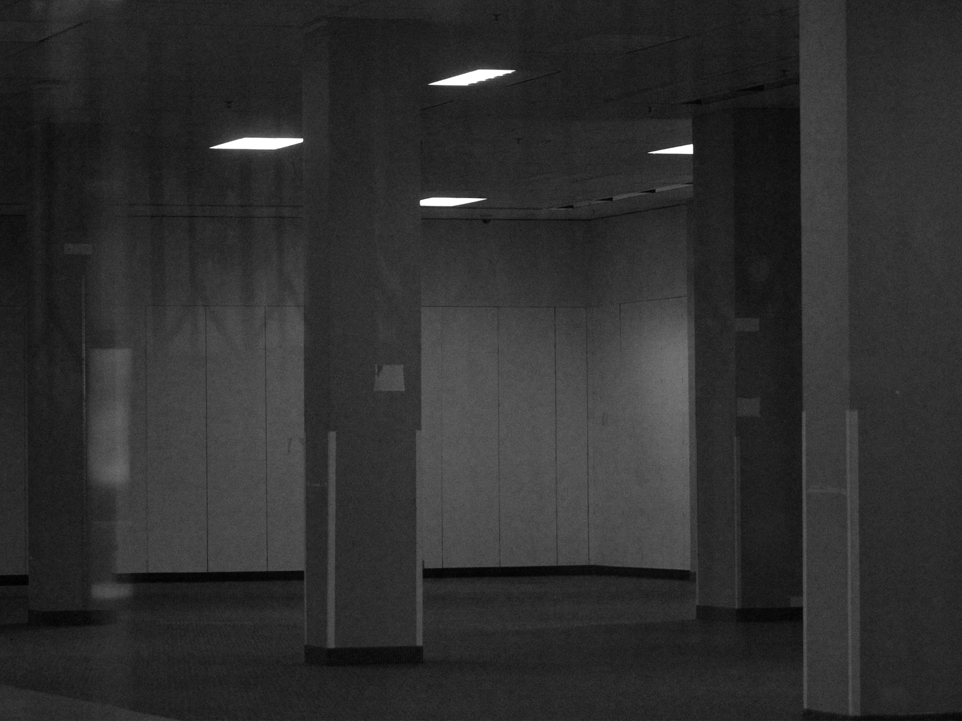 woman in white and brown dress standing on green grass during night time