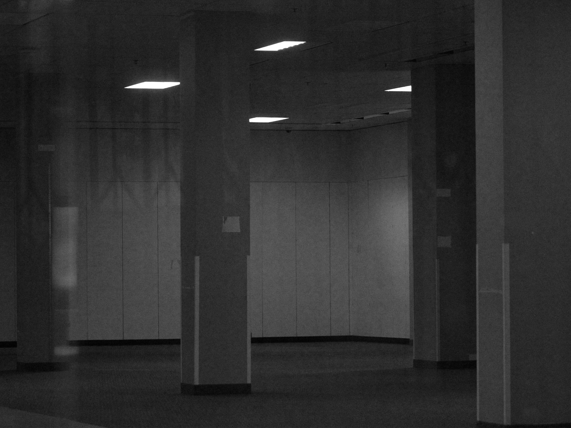 woman in white and brown dress standing on green grass during night time