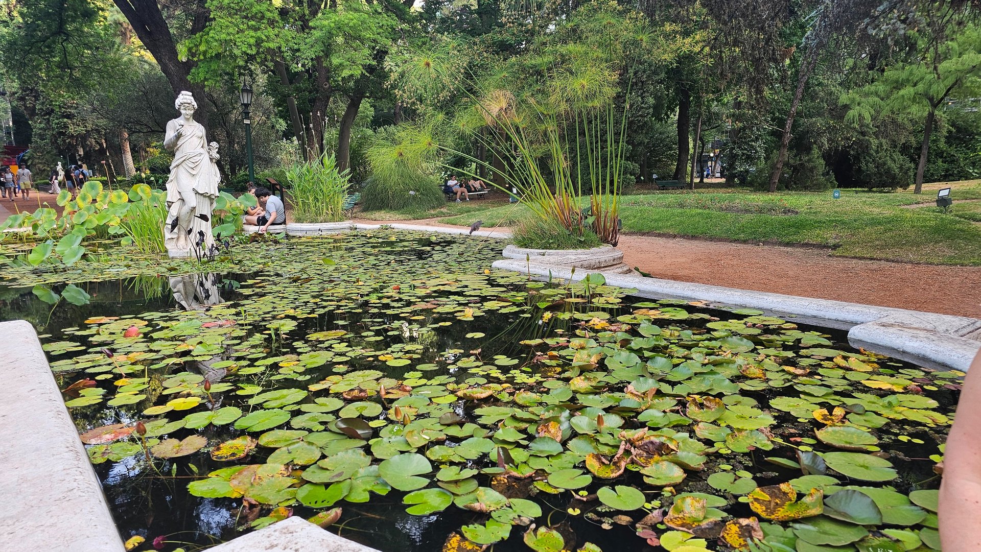 gray computer monitor