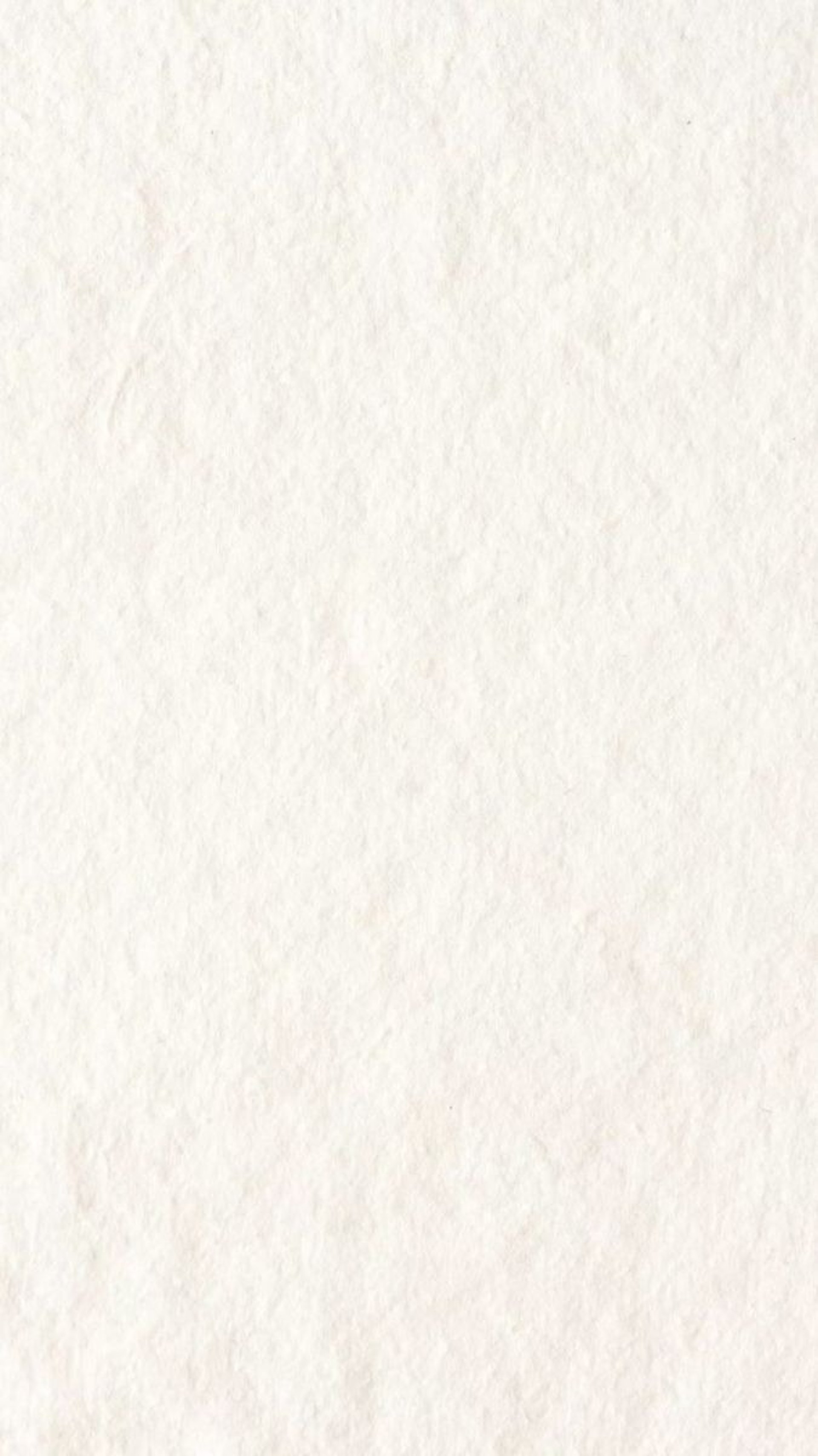 couple wearing silver-colored rings