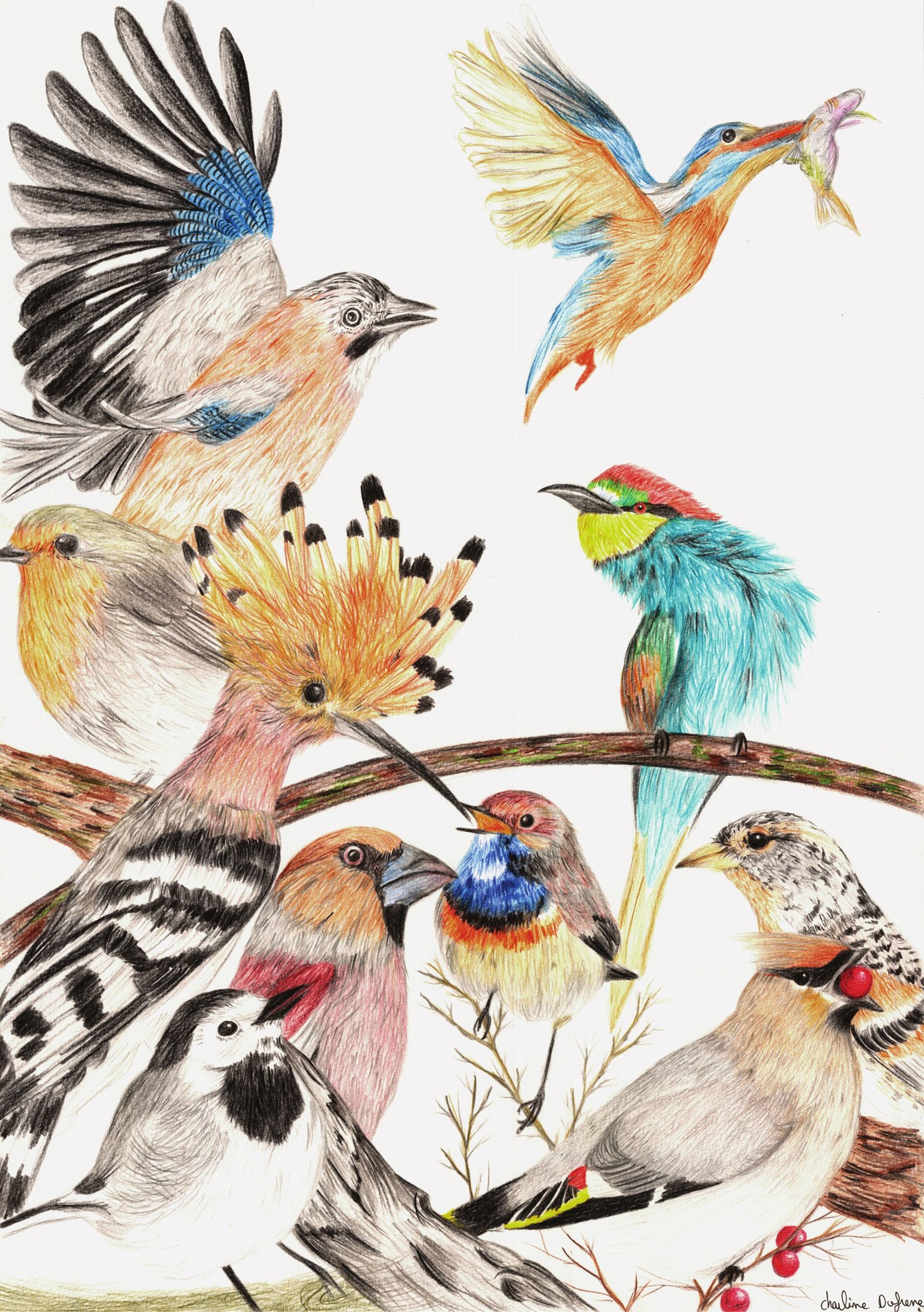 black and white bed linen