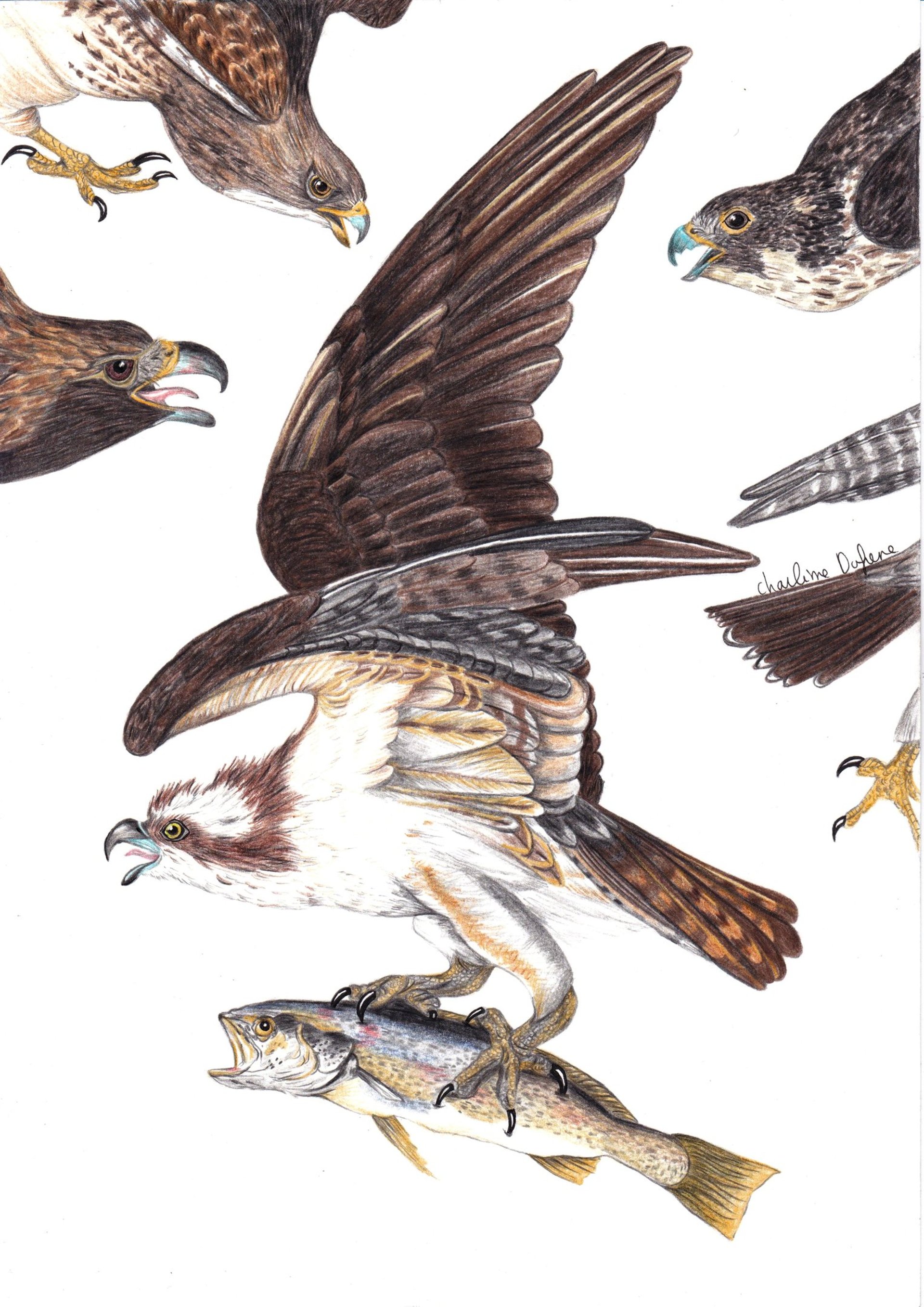 gray computer monitor