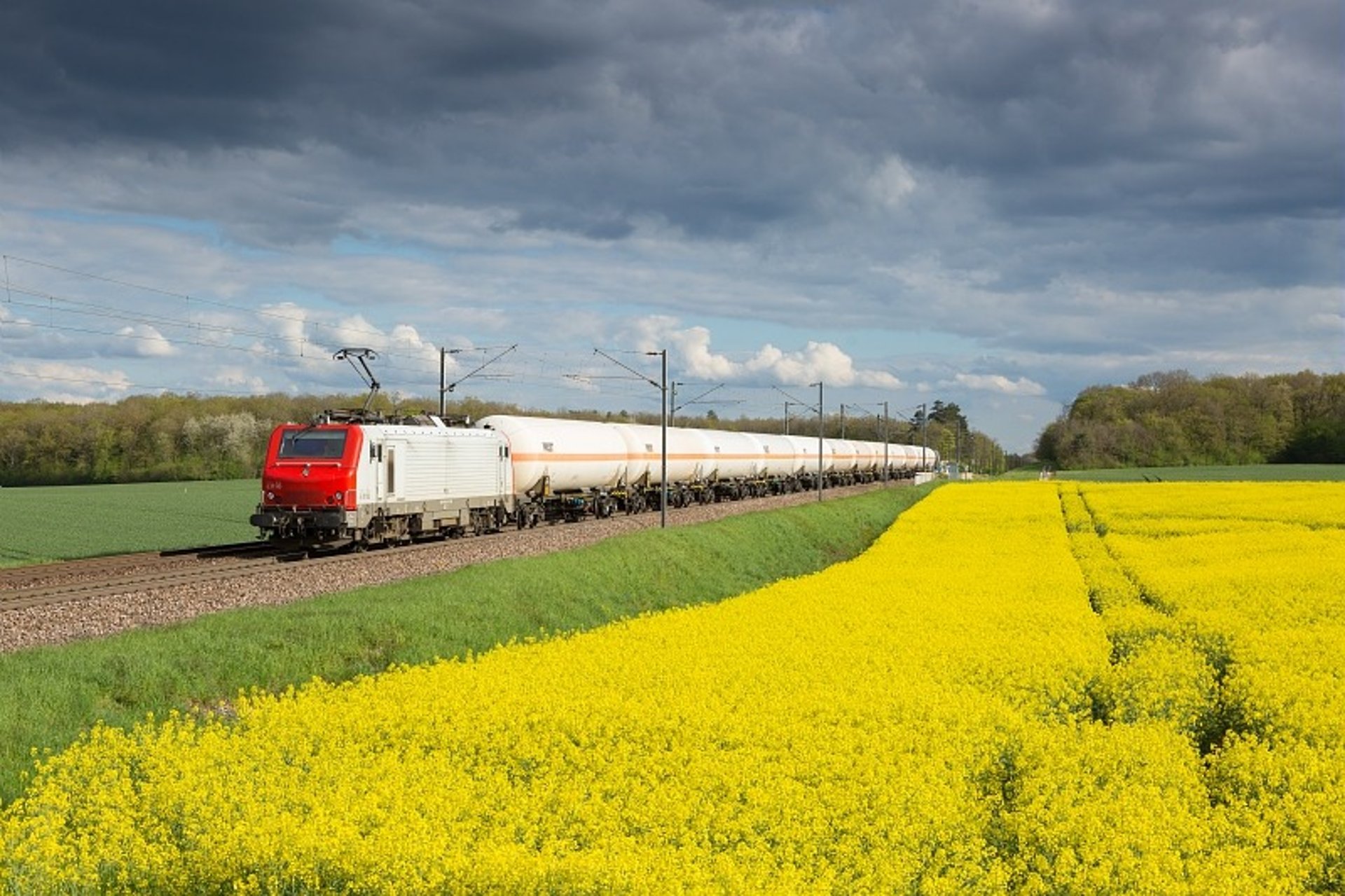 yellow and black train on railways