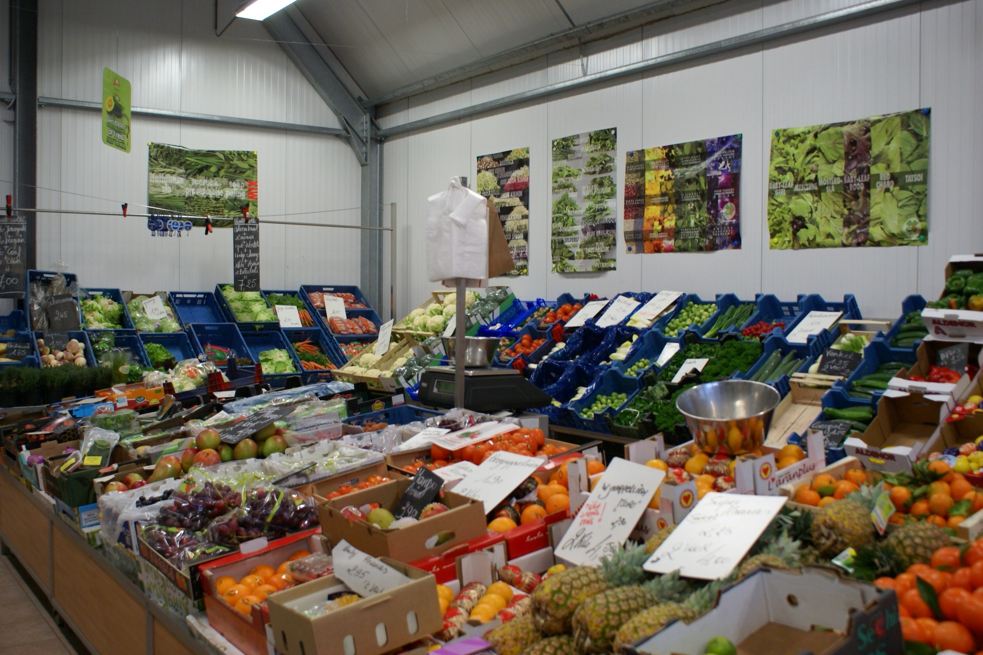 grapes fruit on display