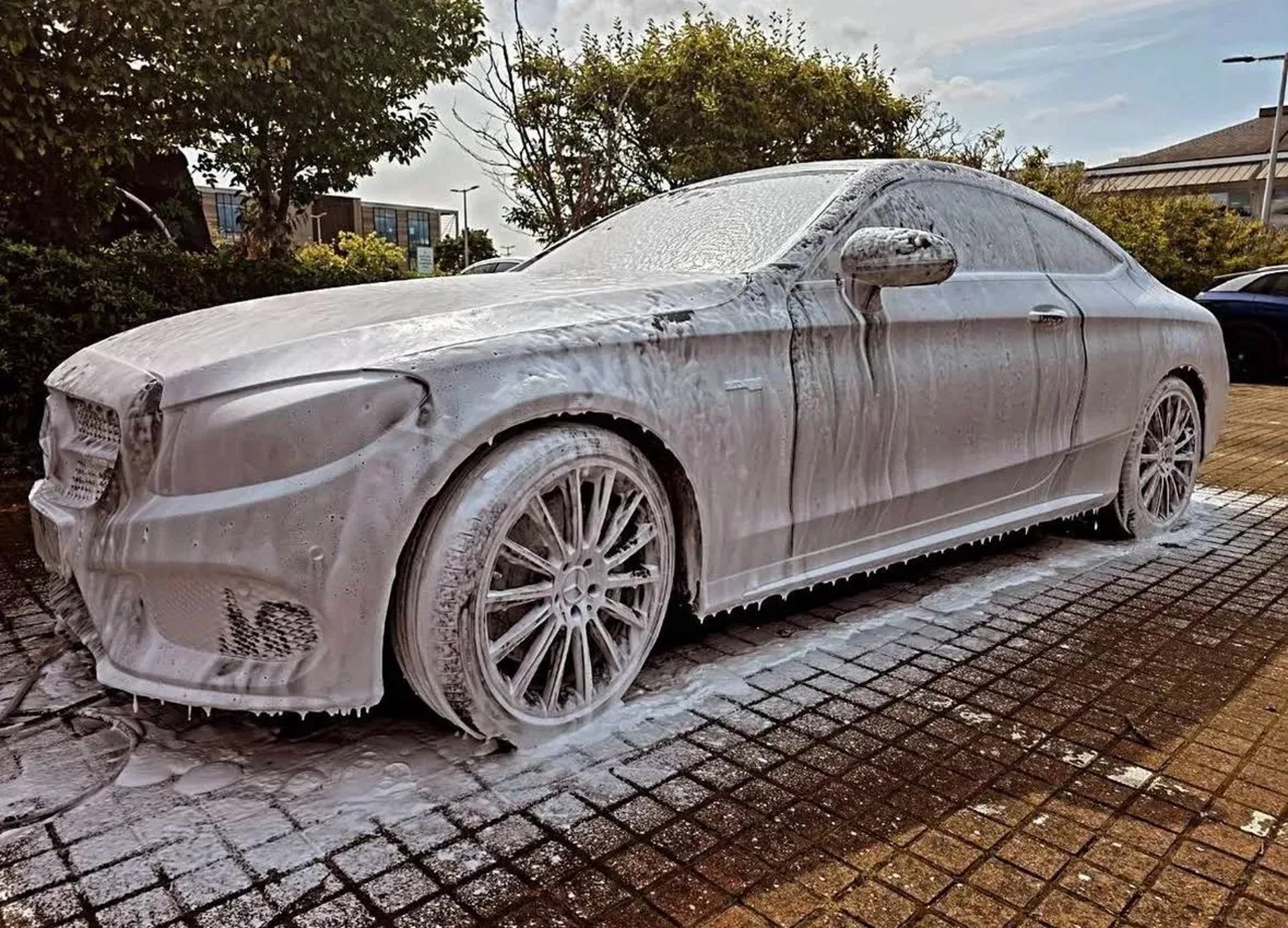 black and white bed linen