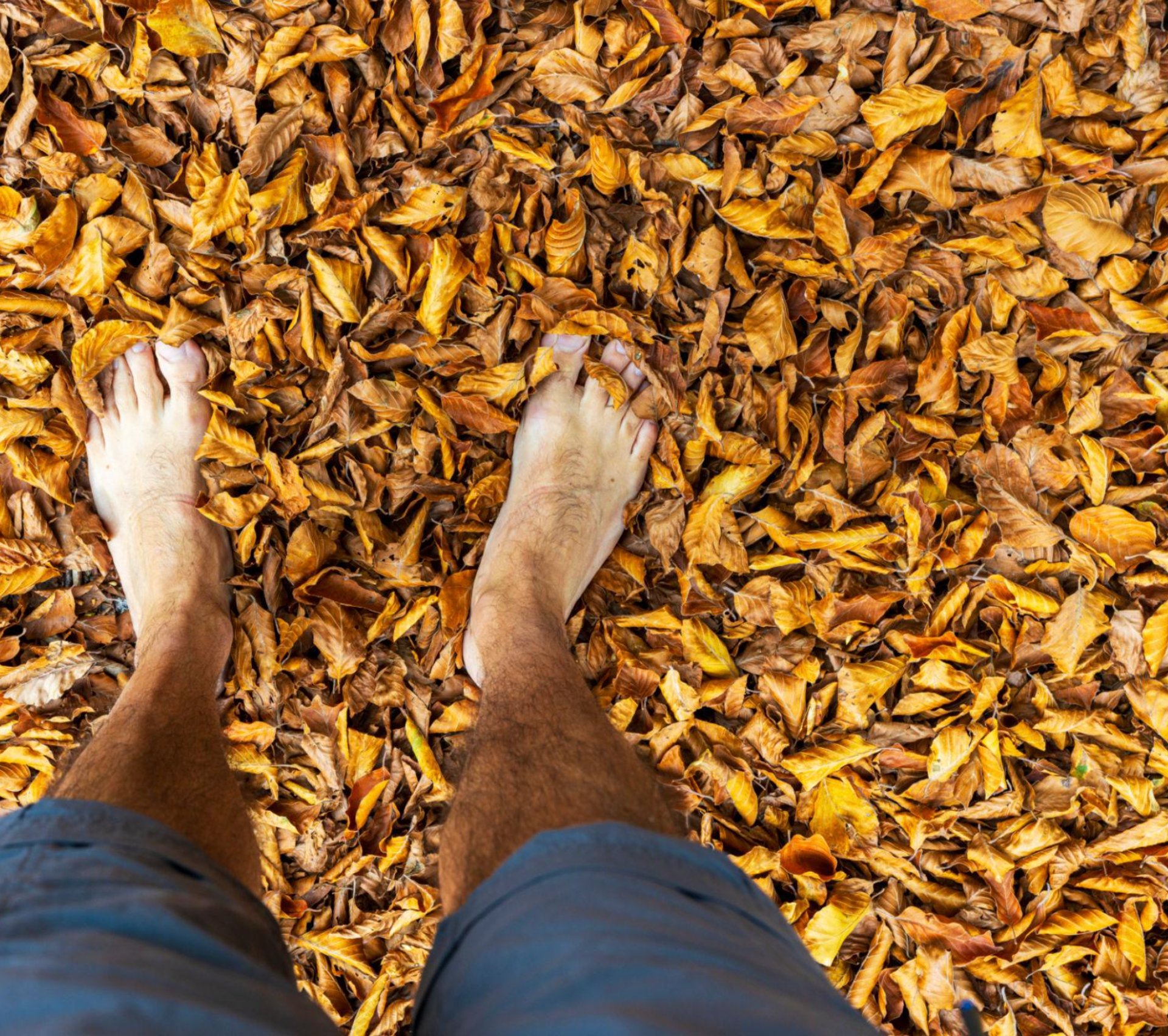 person foot on brown rock