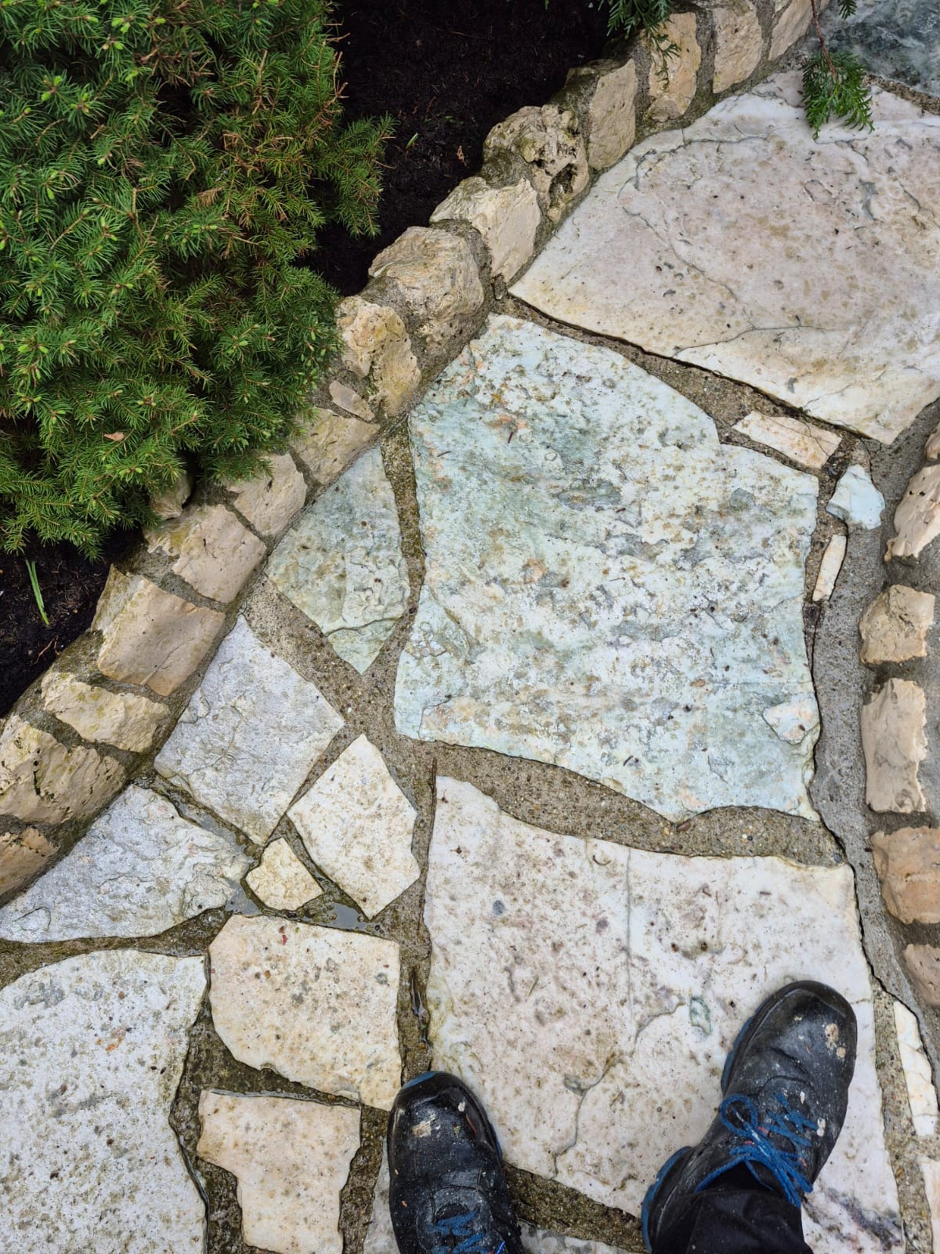 black blue and yellow textile