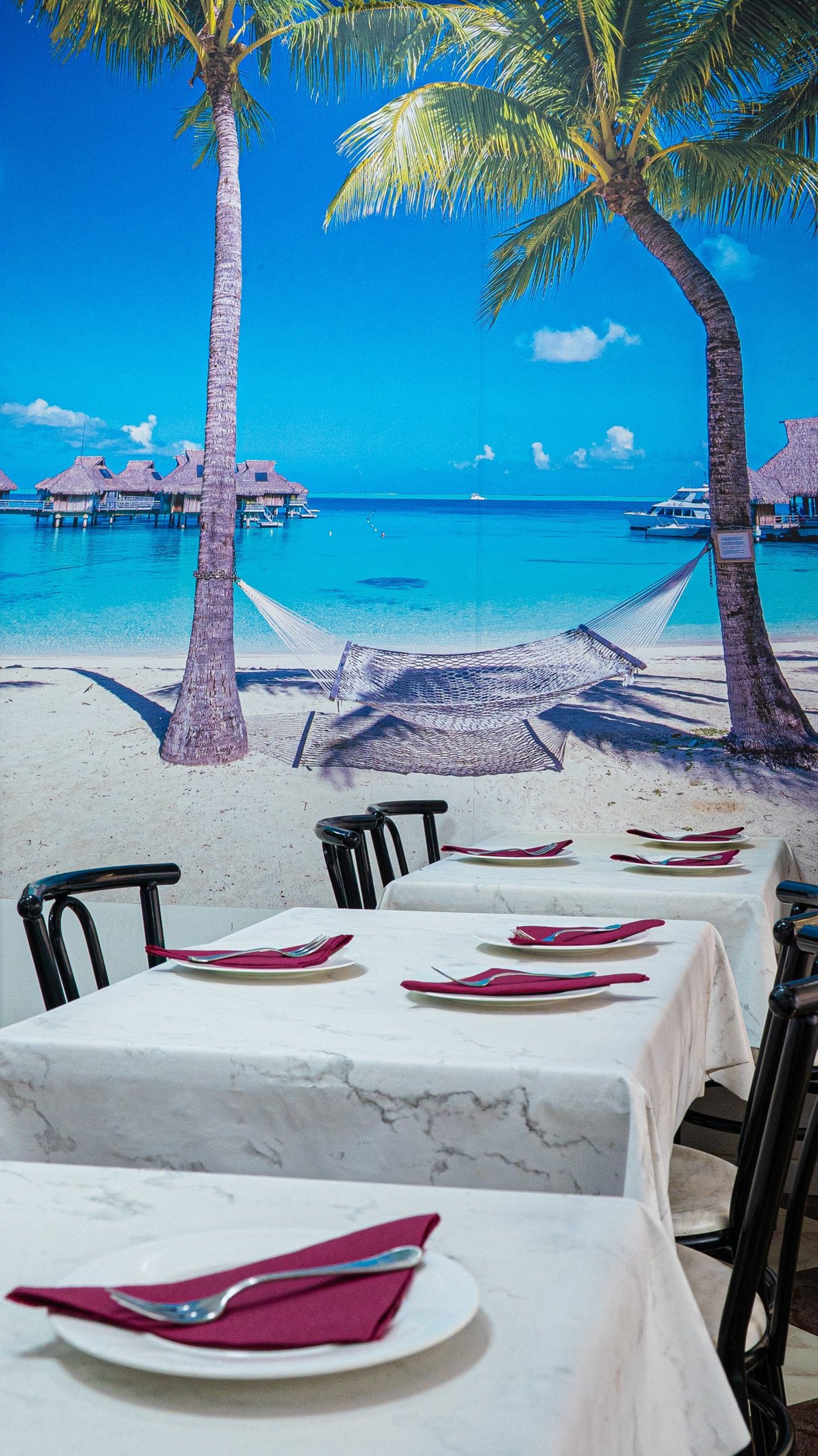 a group of palm trees with a blue sky in the background