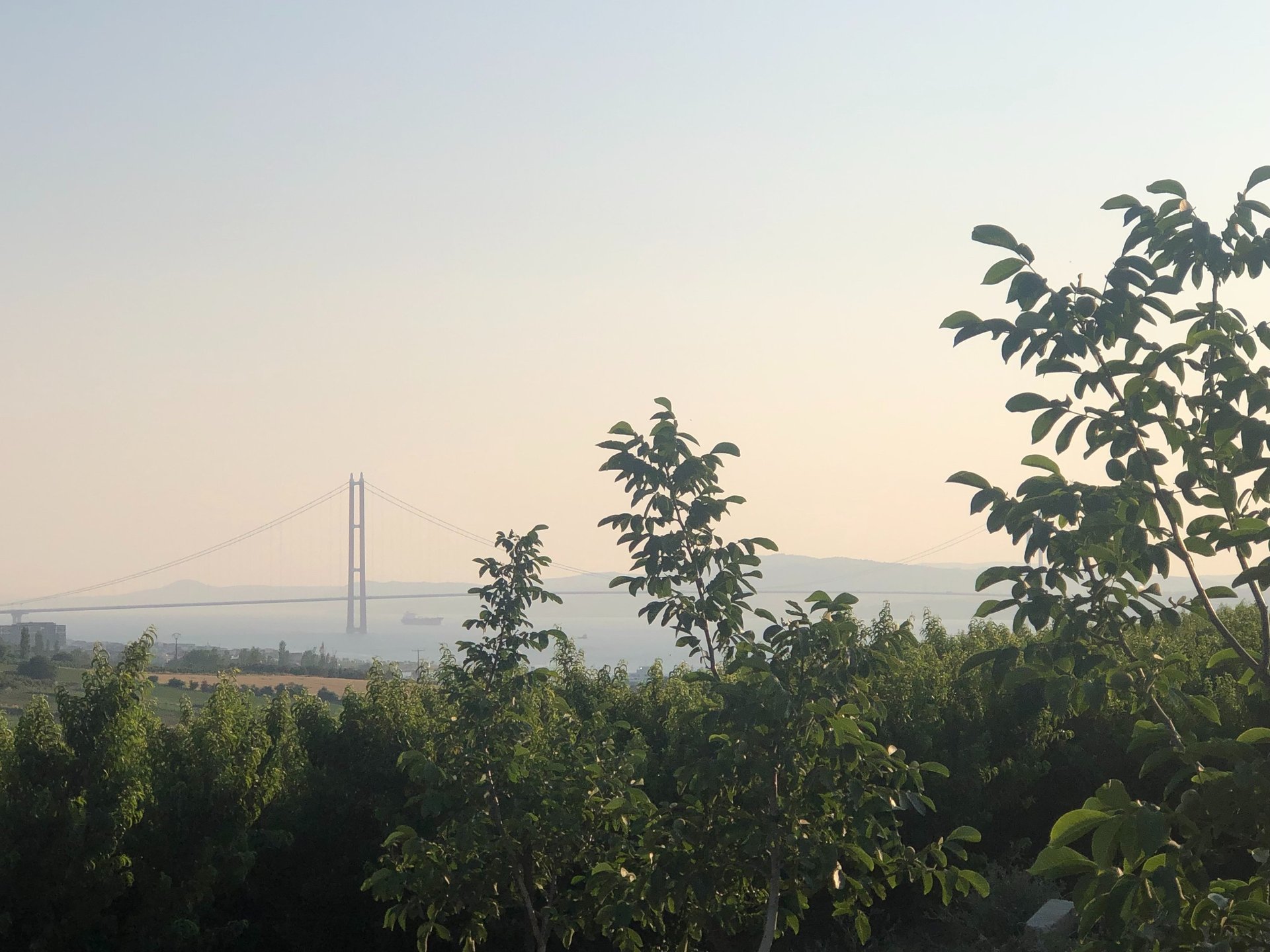 an abstract photo of a curved building with a blue sky in the background