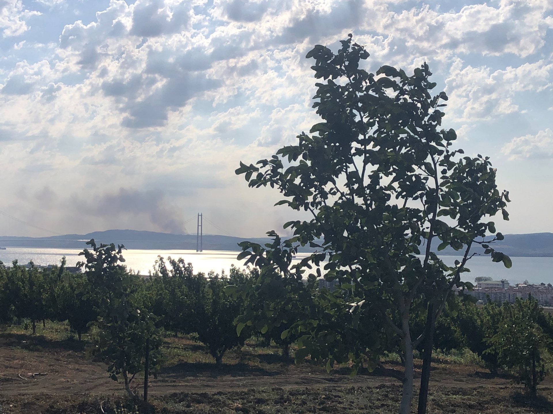 black blue and yellow textile