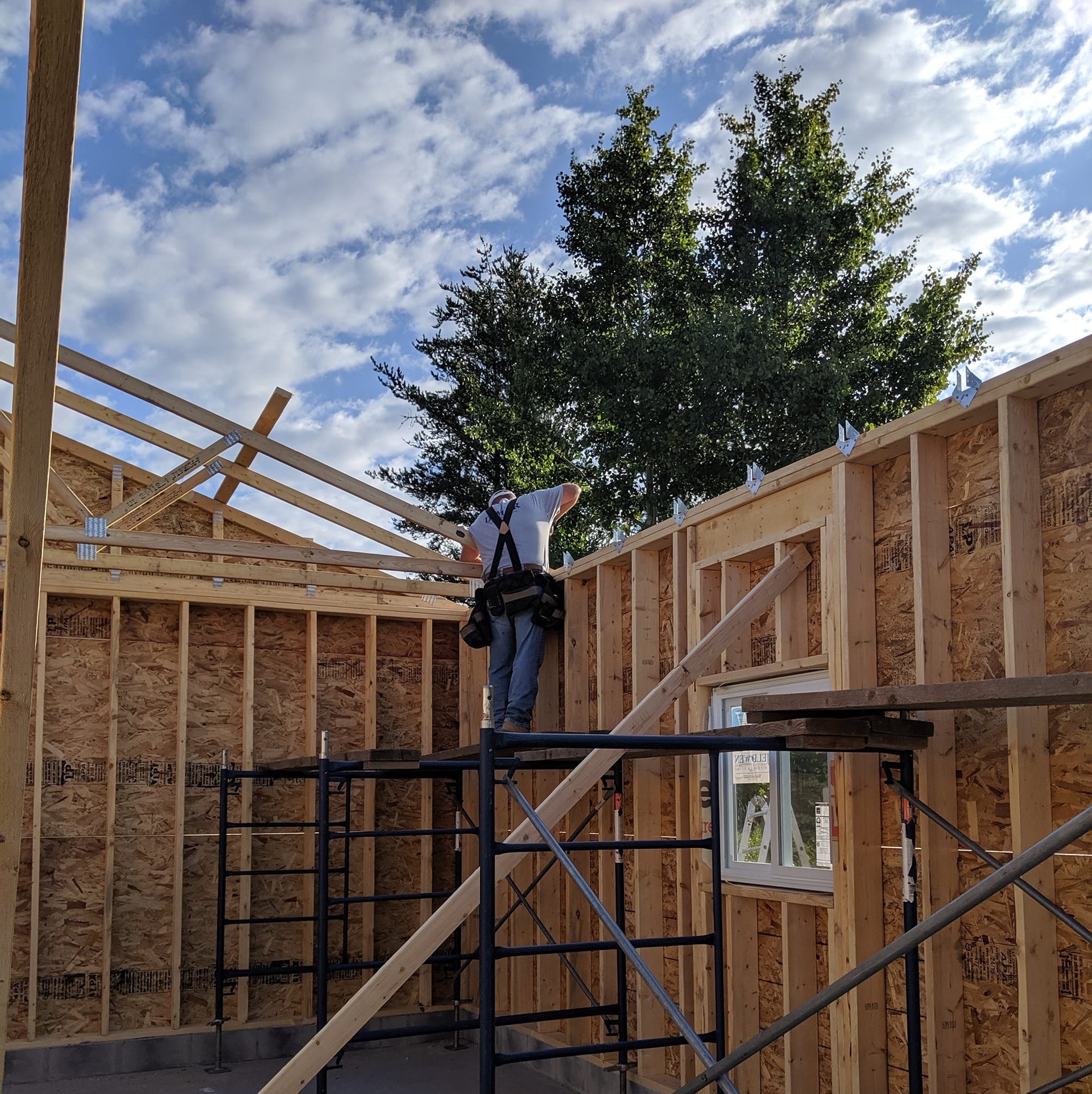 gray computer monitor