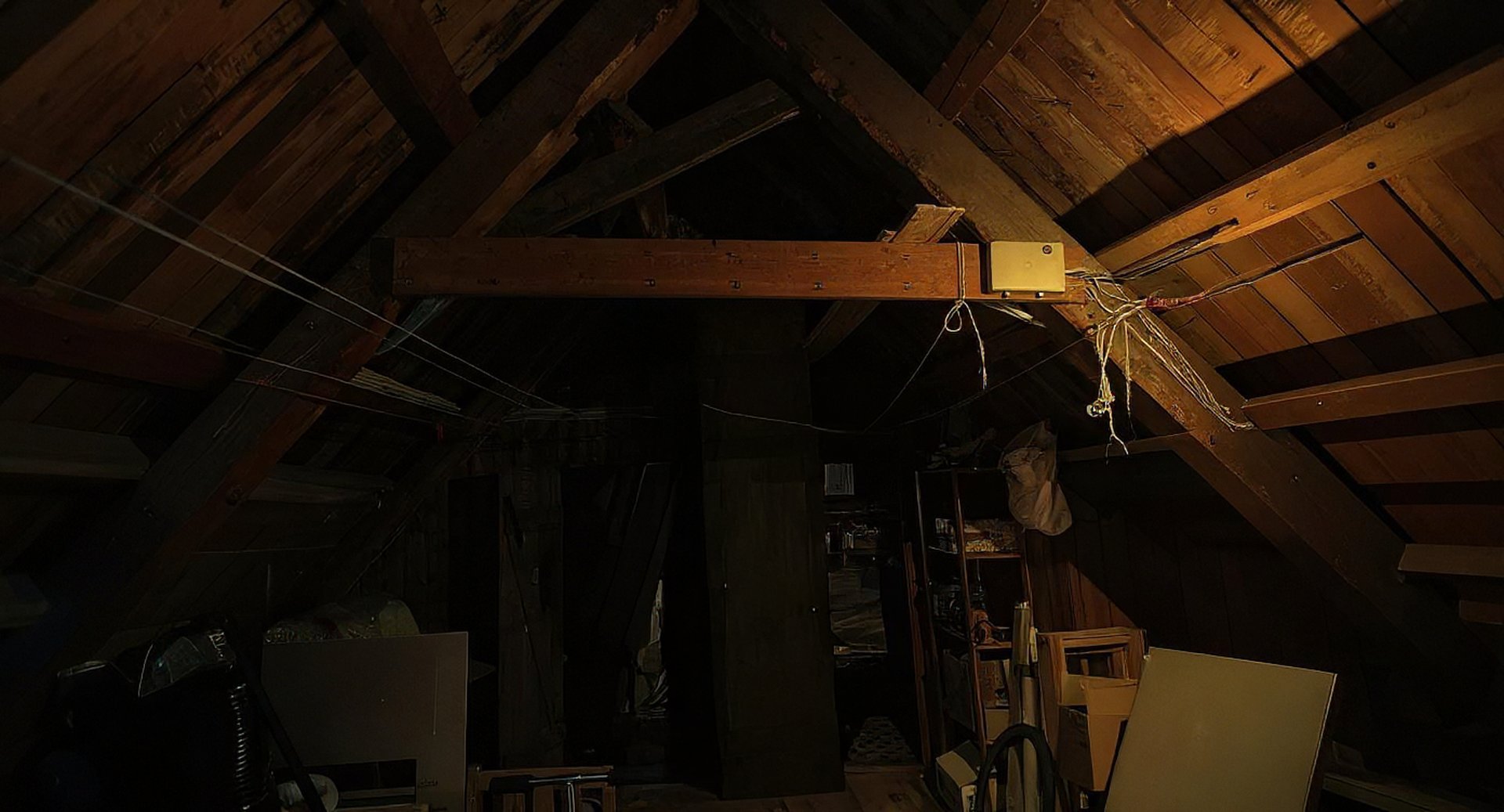 a tree with no leaves in front of a house
