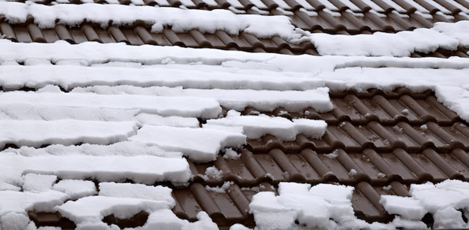 a tree with no leaves in front of a house
