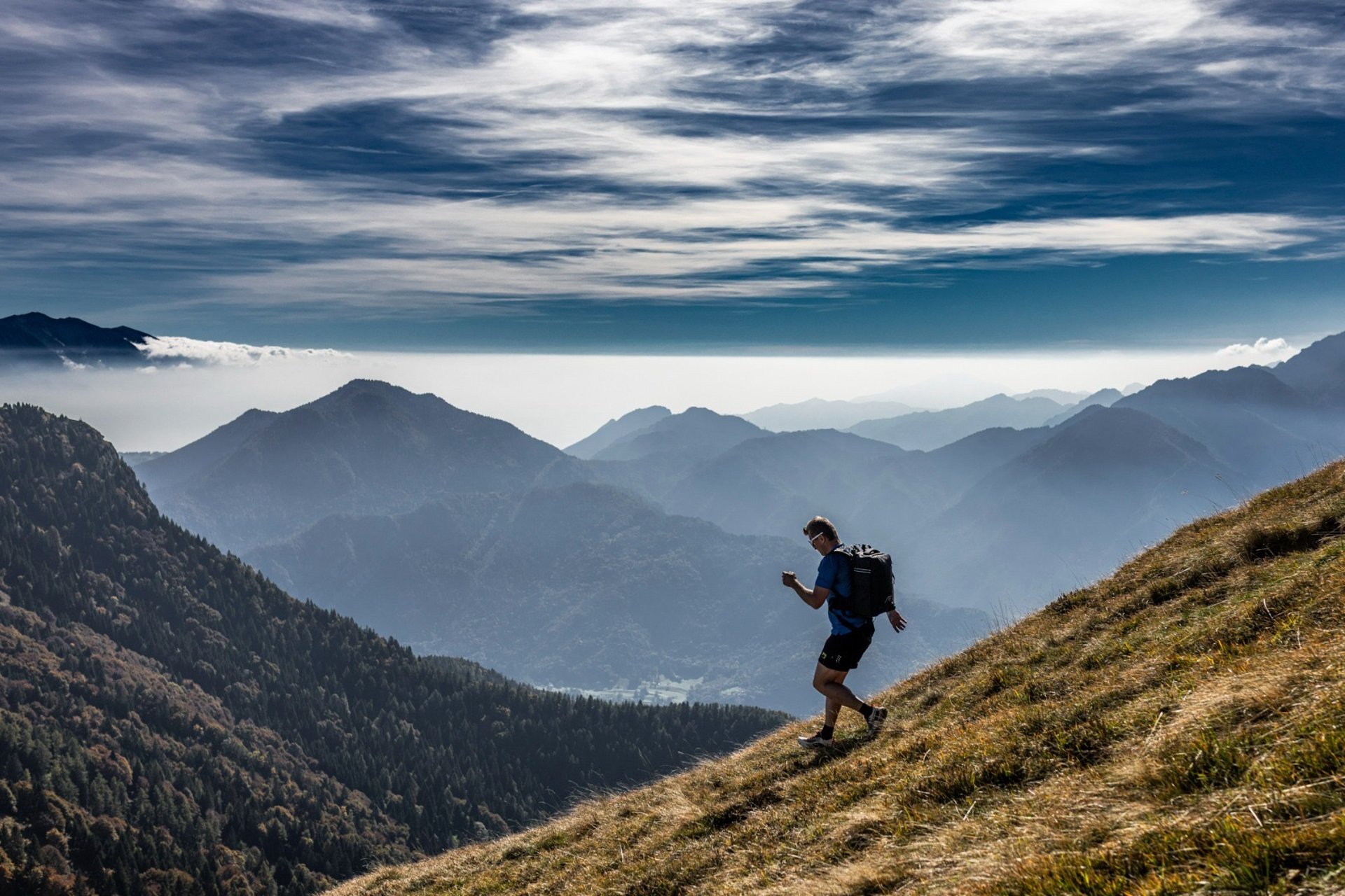 black blue and yellow textile