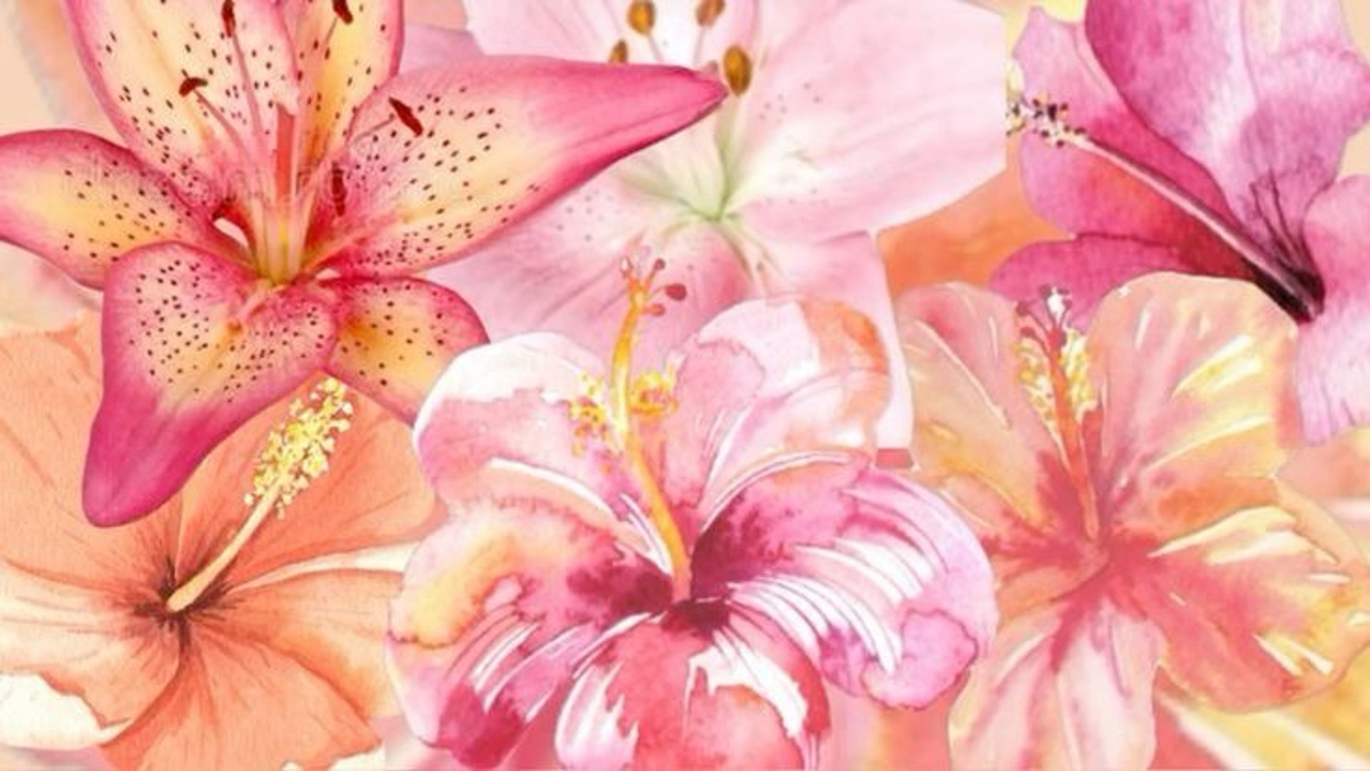 silhouette of person standing on rock surrounded by body of water