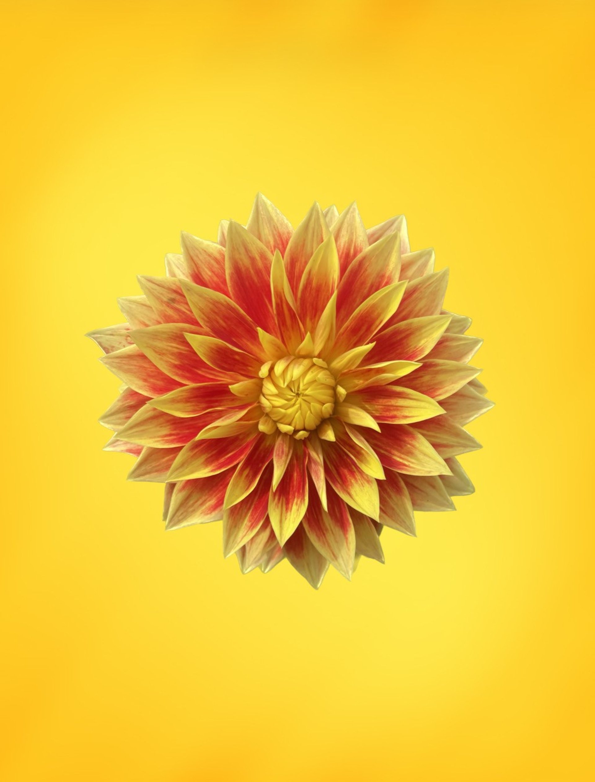 person wearing grey knit sweater