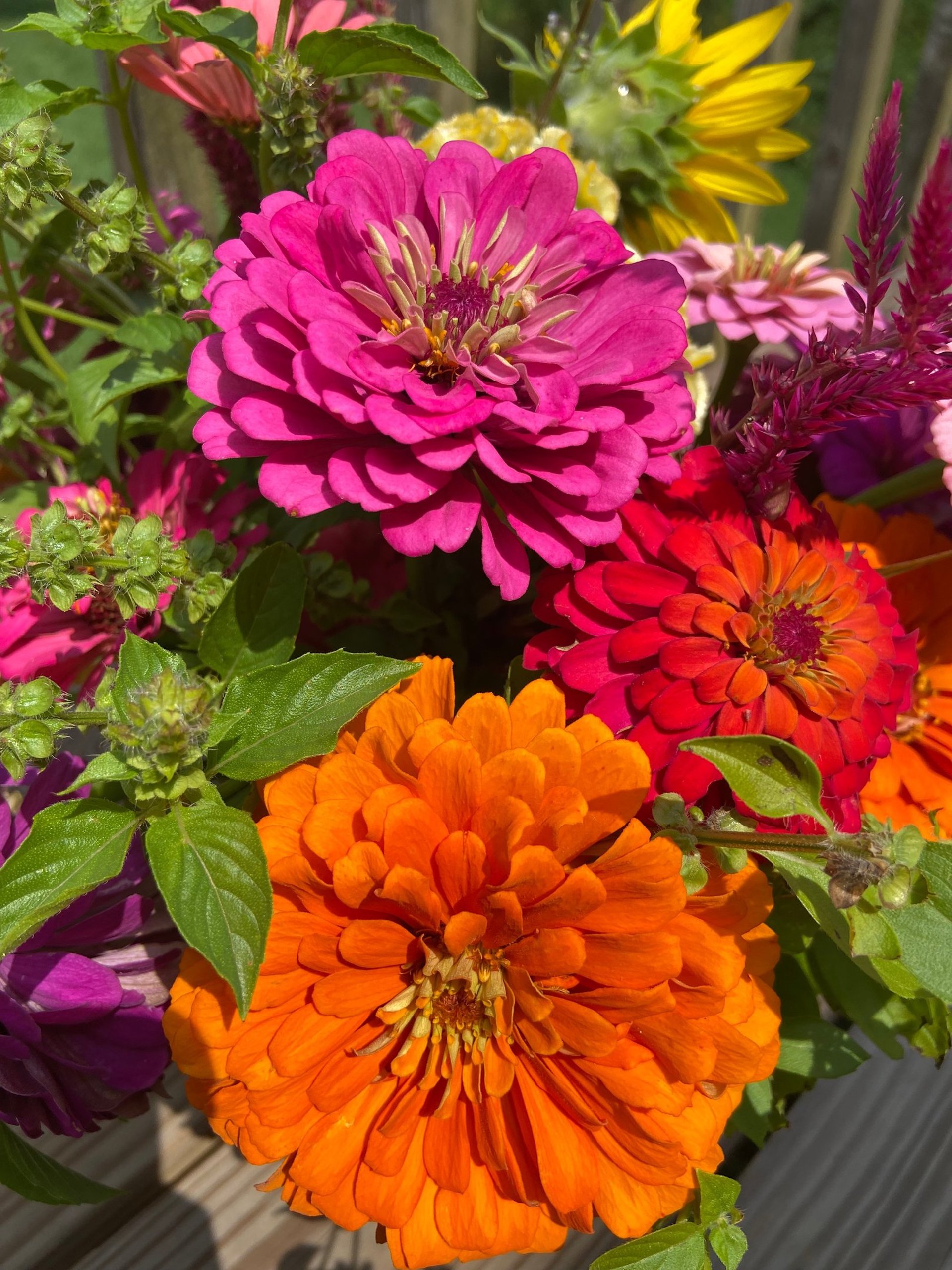 black blue and yellow textile