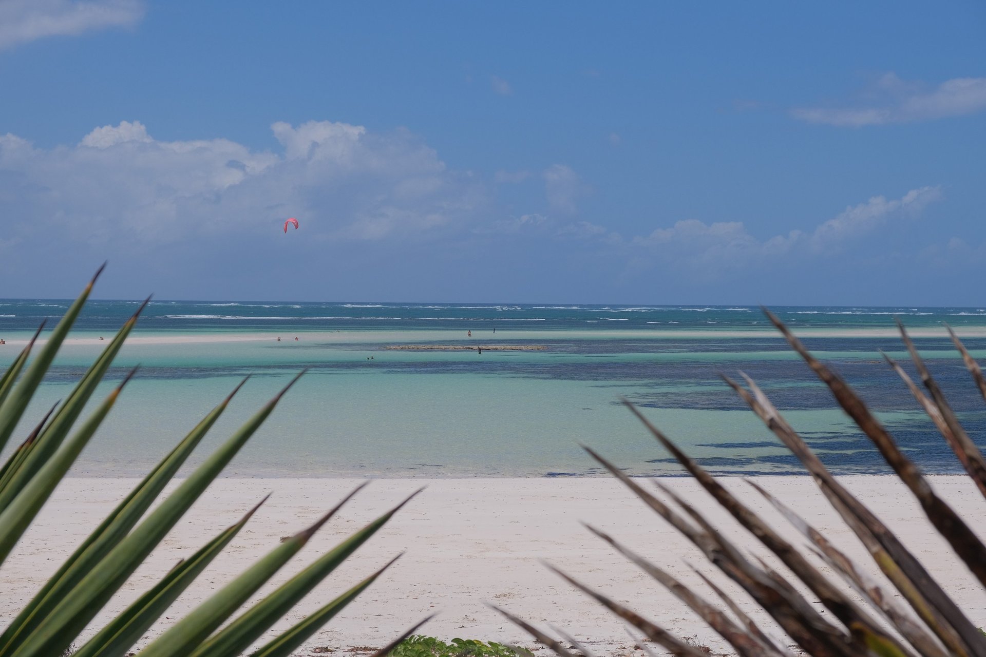 black blue and yellow textile