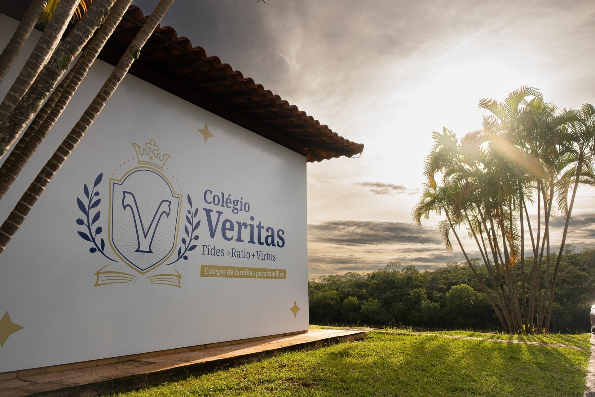 an abstract photo of a curved building with a blue sky in the background