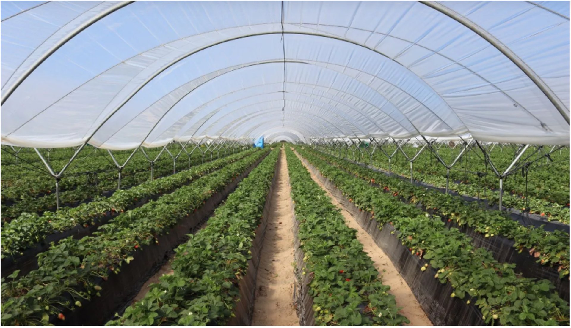 gray computer monitor