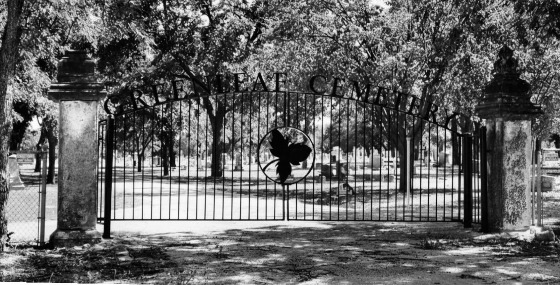 black and white bed linen