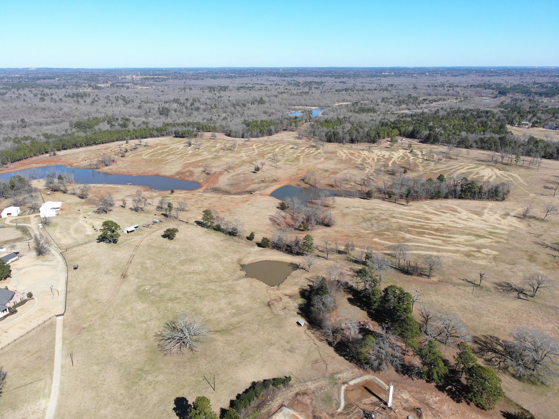 black and white bed linen