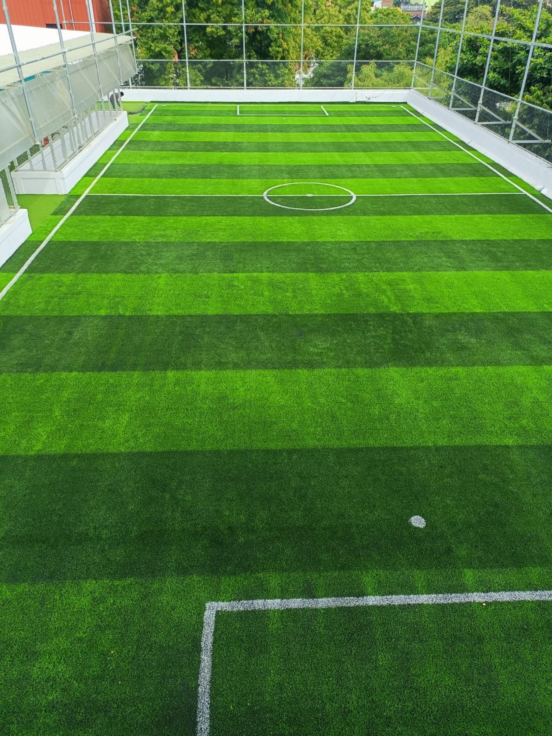 blue and grey soccer ball on green field under white and blue sky during daytime
