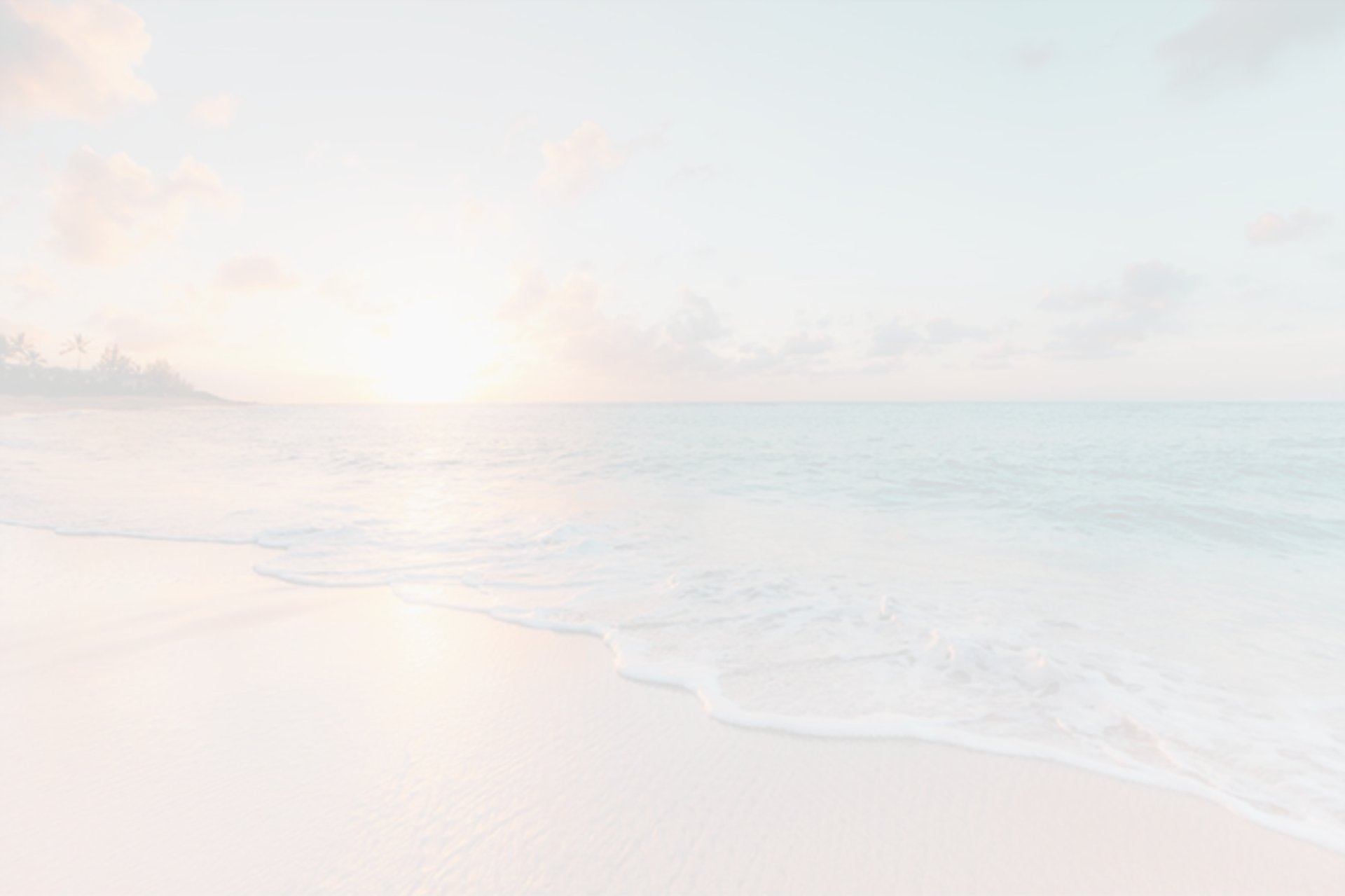 seashore during golden hour