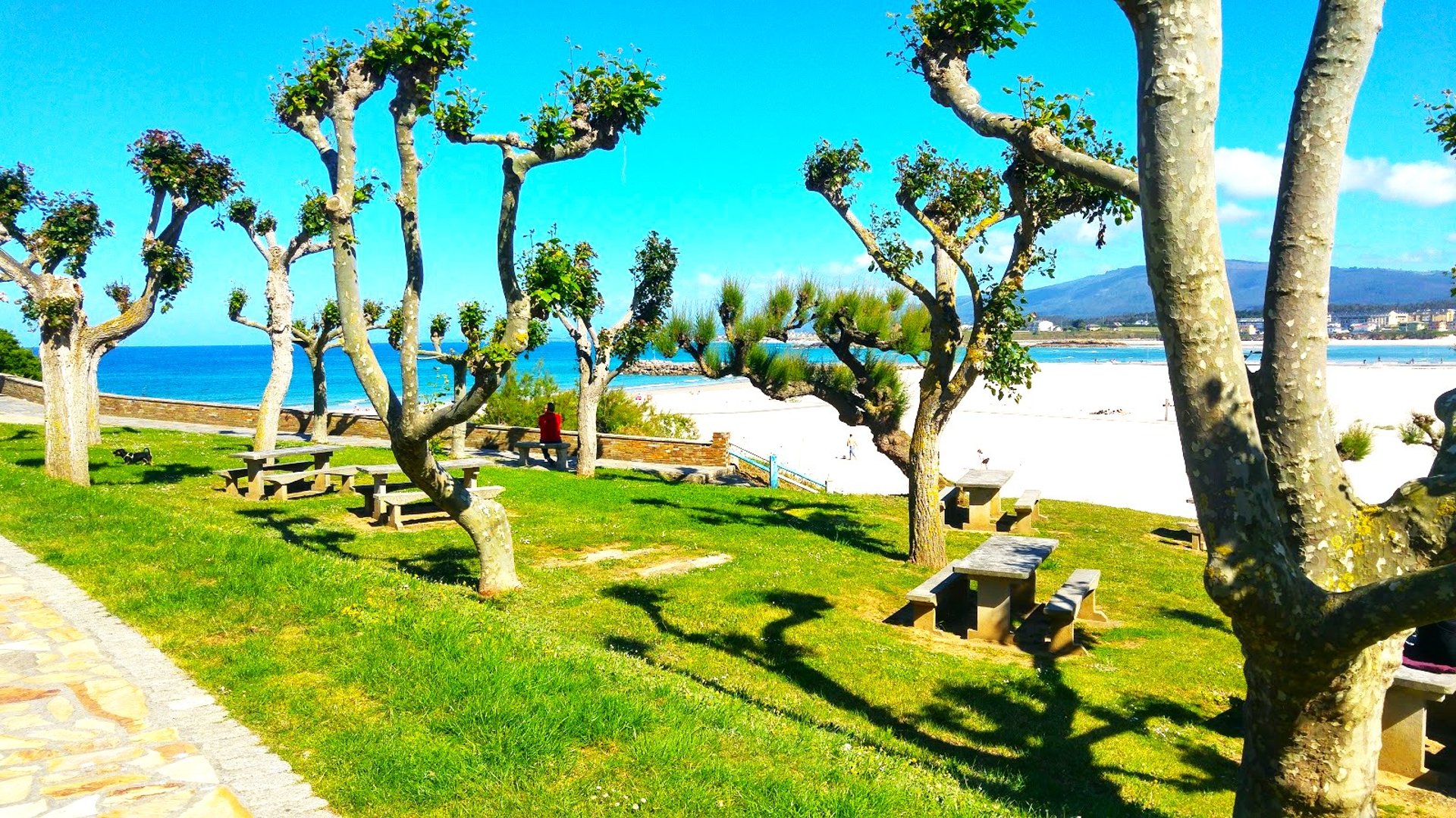 an abstract photo of a curved building with a blue sky in the background