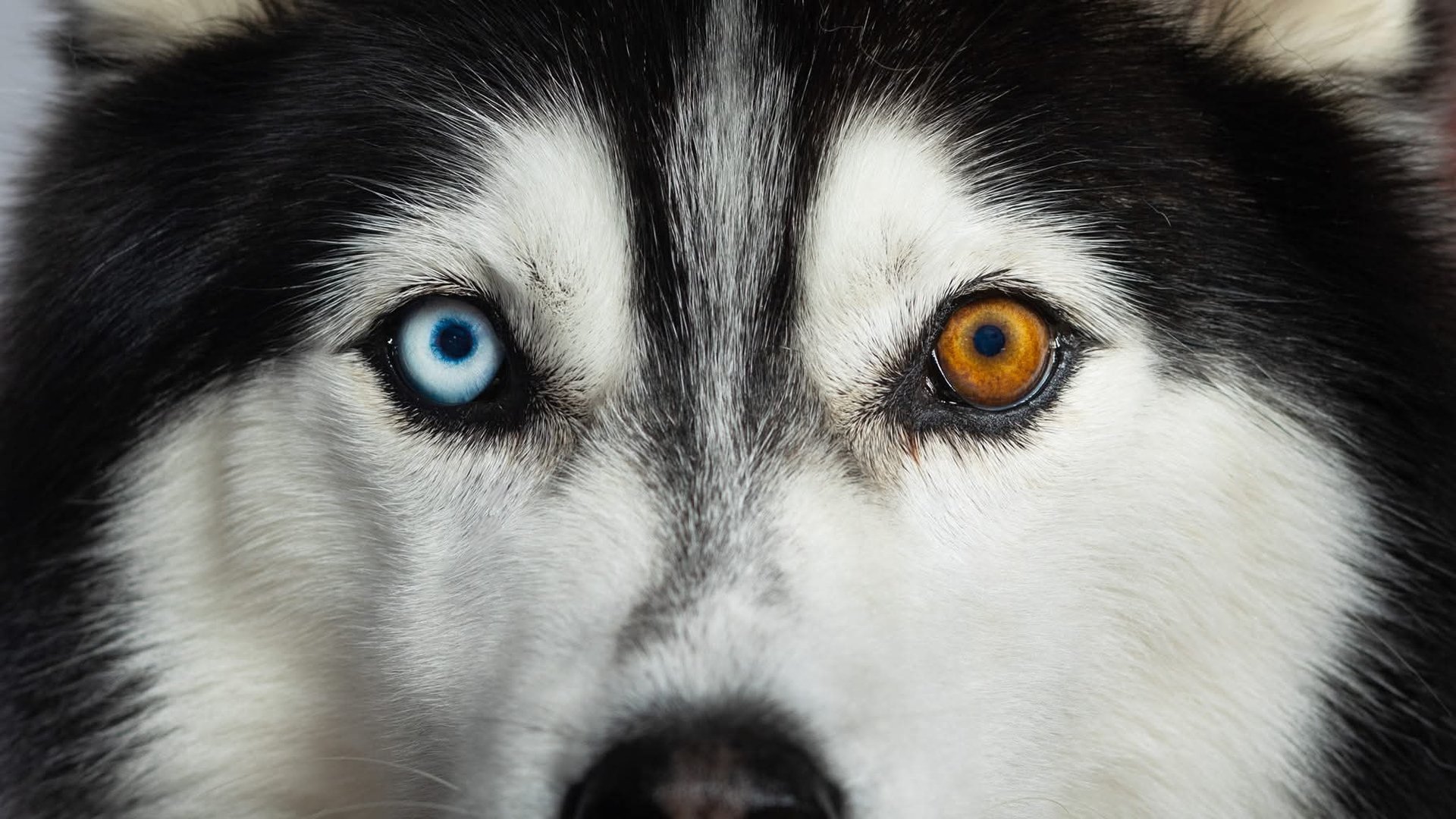 woman wearing yellow long-sleeved dress under white clouds and blue sky during daytime